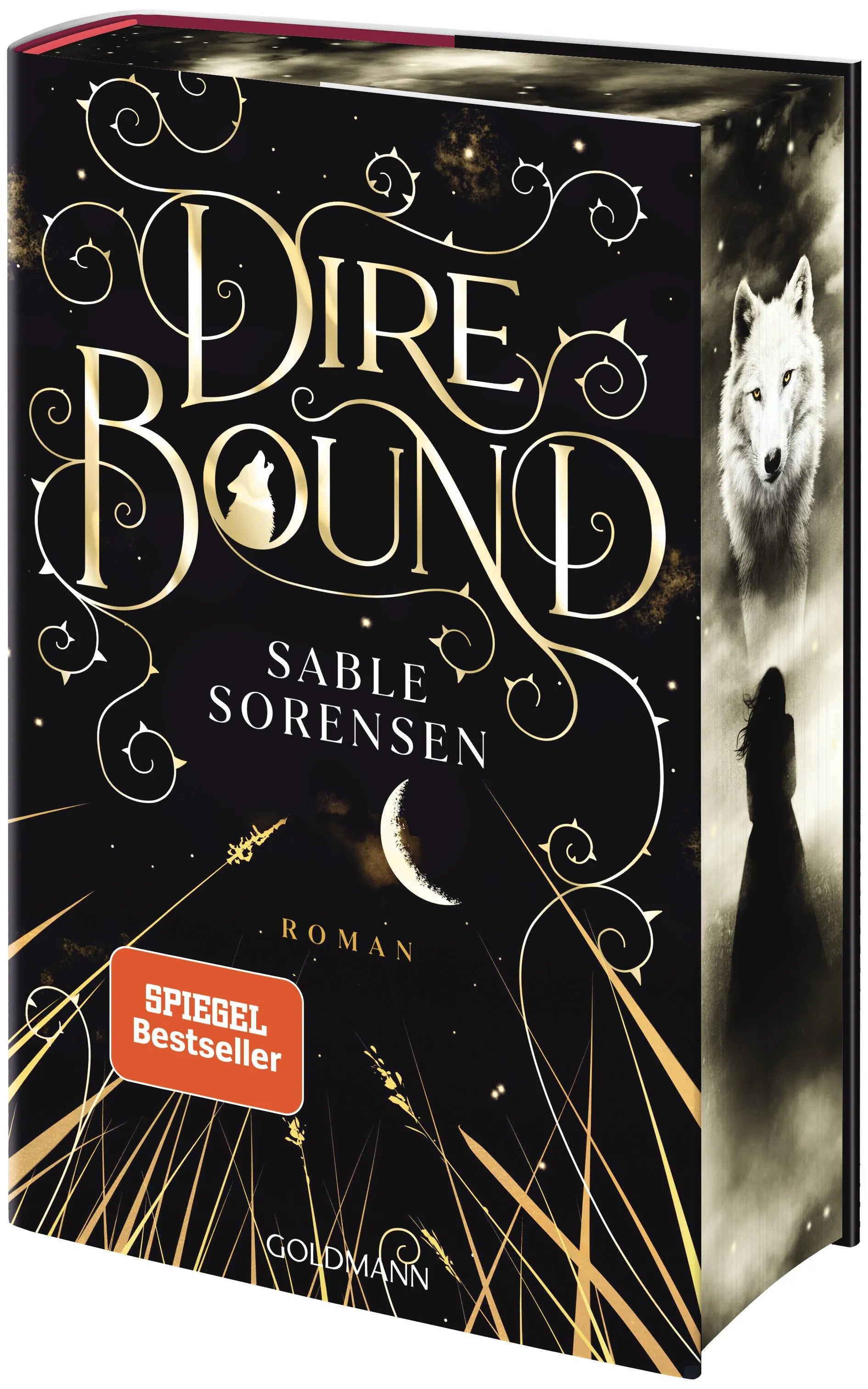 Cover: Dire Bound (Hardcover) von Sable Sorensen