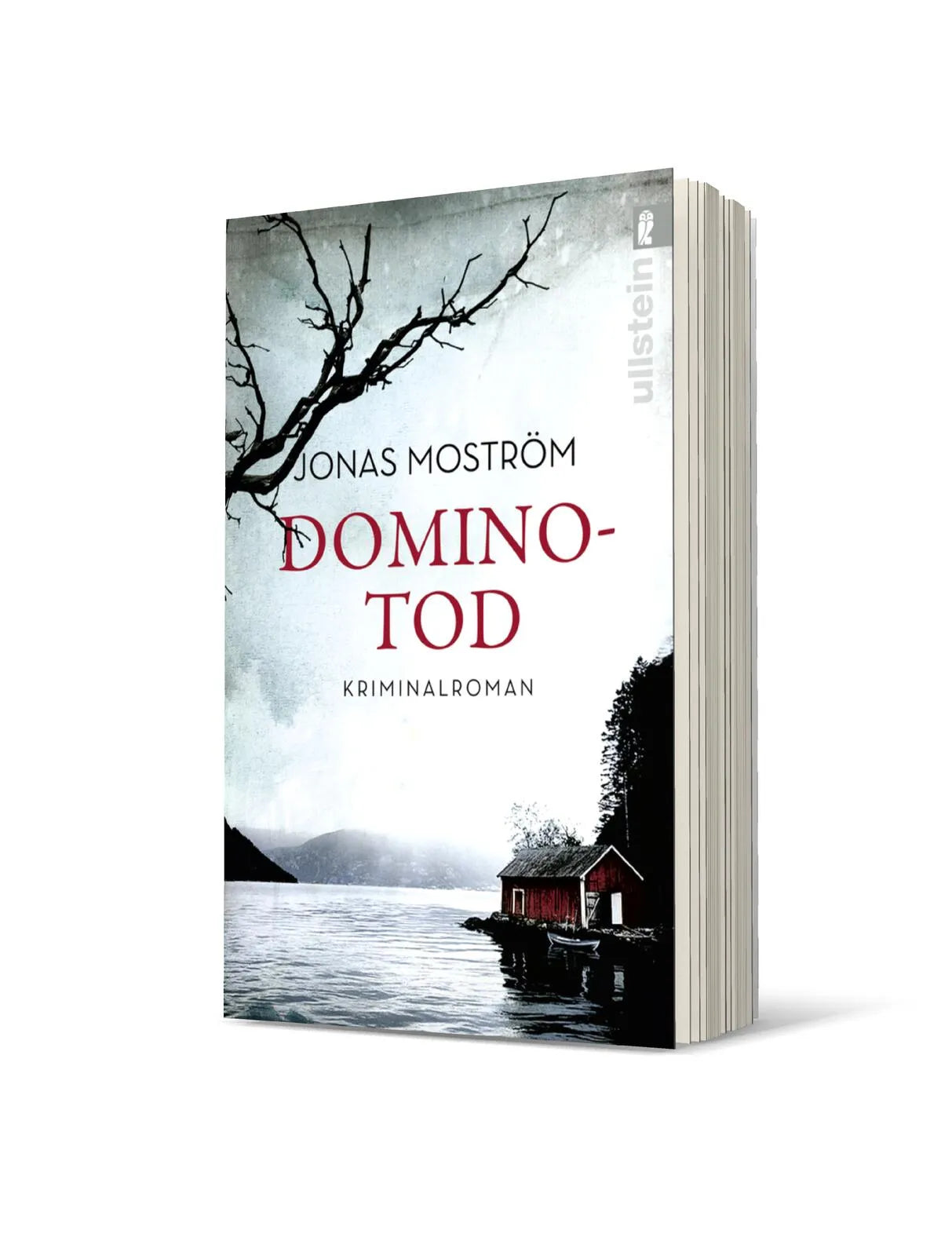 Produktansicht: Dominotod (Taschenbuch)