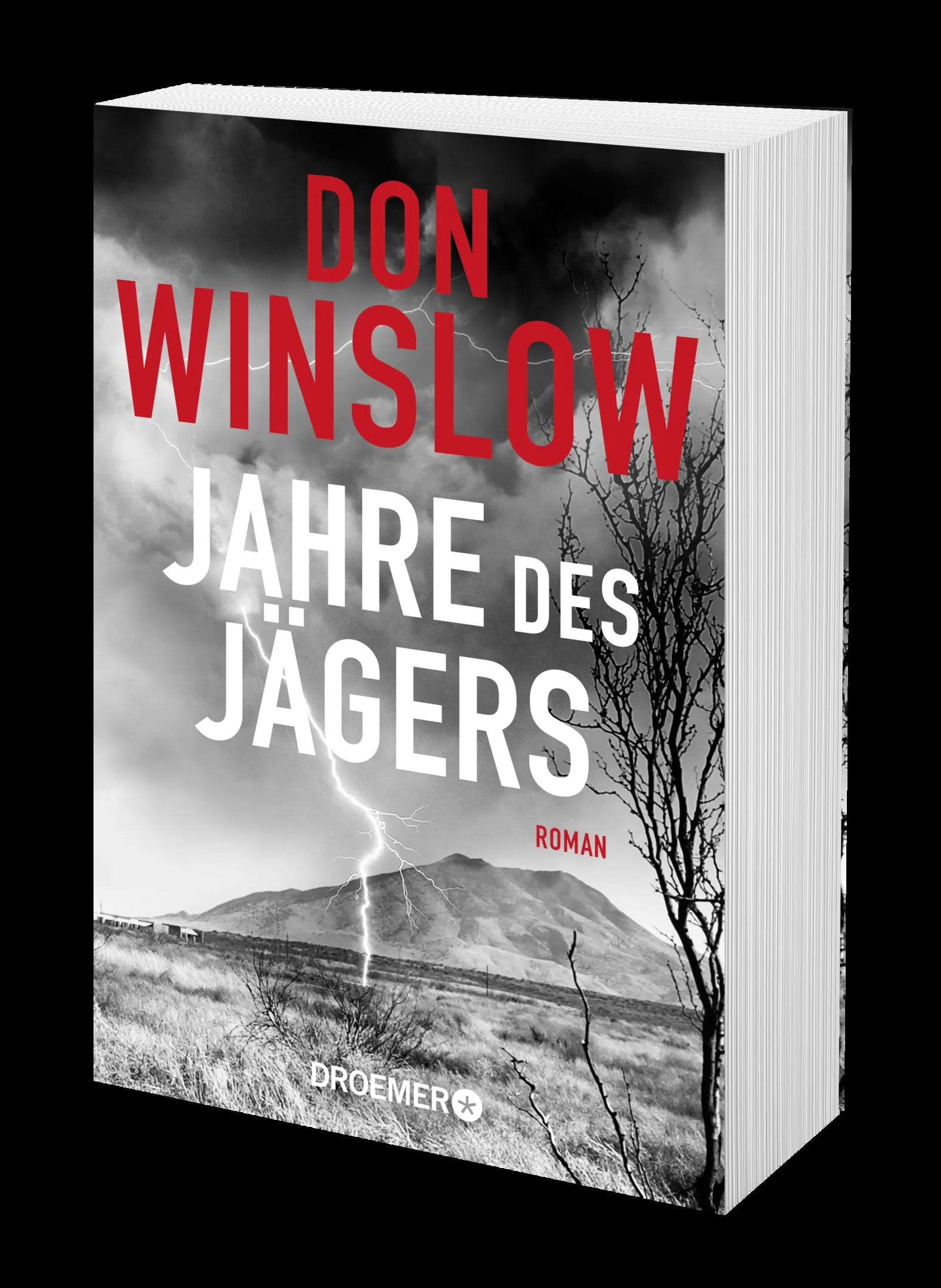 Produktansicht: Jahre des Jägers (Taschenbuch)