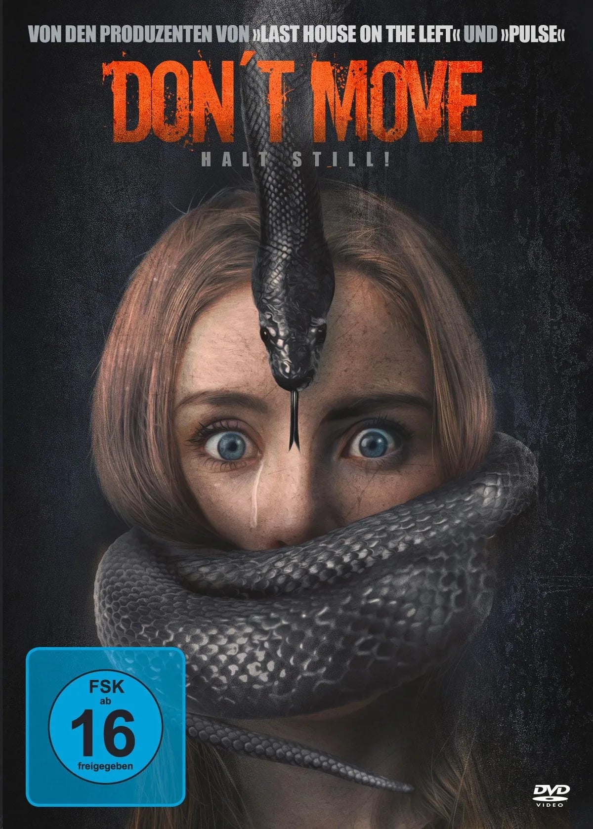 Don't Move - Halt still! - DVD
