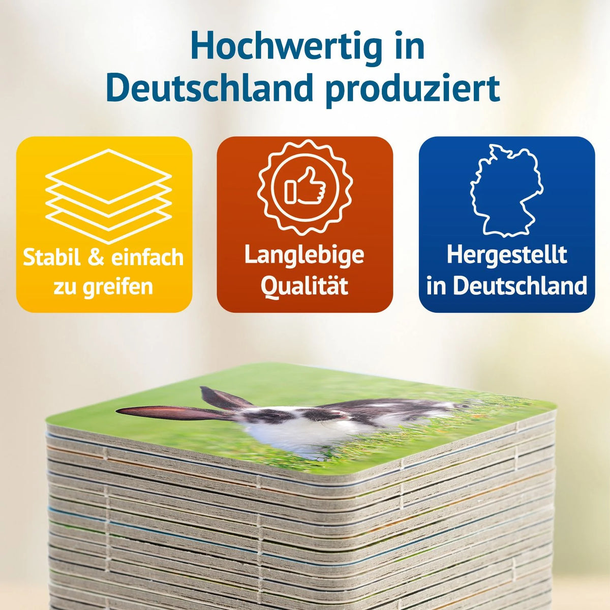 Doppel Hoppel Memospiel – Ansicht