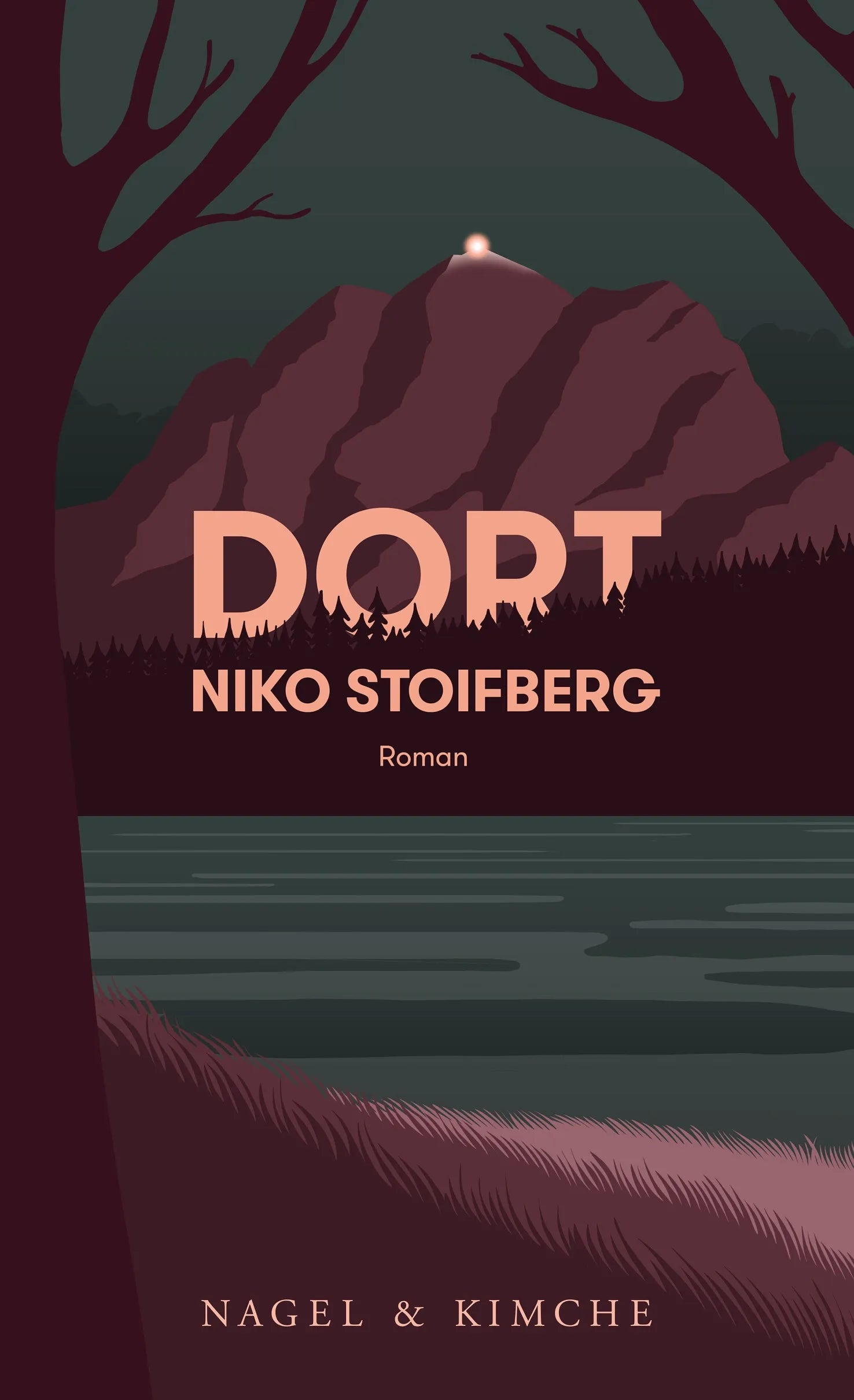 Buchcover von 'Dort' - Gebundene Ausgabe von Niko Stoifberg