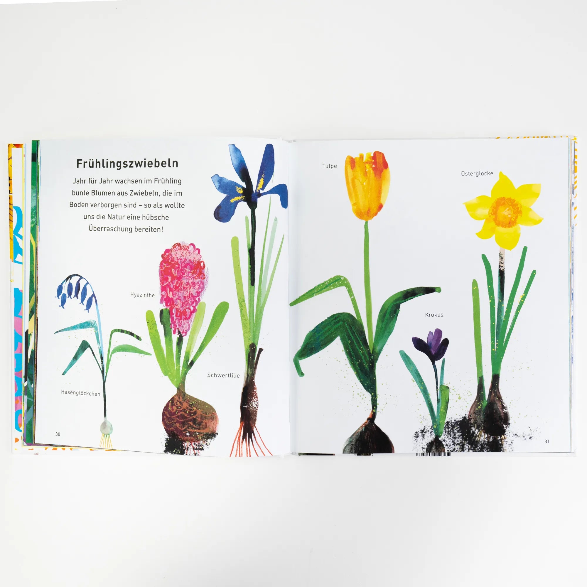 Abbildung von 'Draußen in der Natur. Ein Sachbilderbuch über die vier Jahreszeiten'
