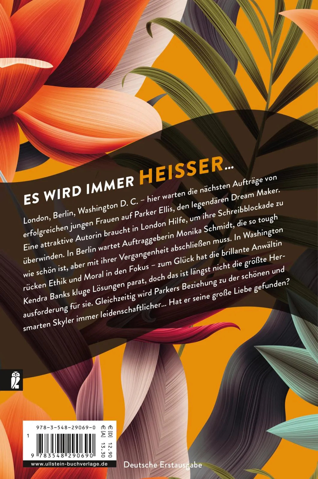 Buchrückseite von 'Dream Maker - Triumph' mit Klappentext - Paperback