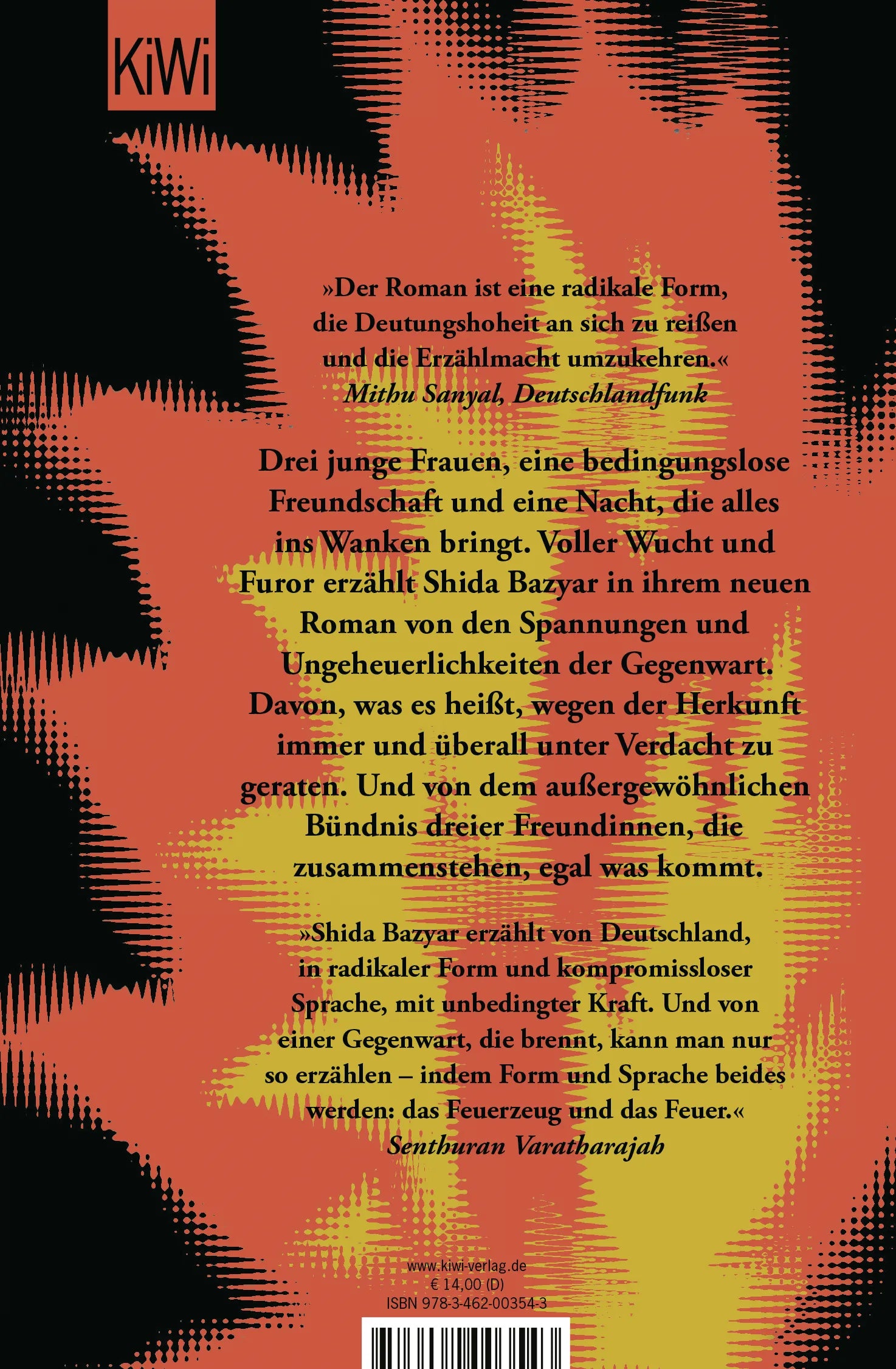 Buchrückseite von 'Drei Kameradinnen' mit Klappentext - Taschenbuch