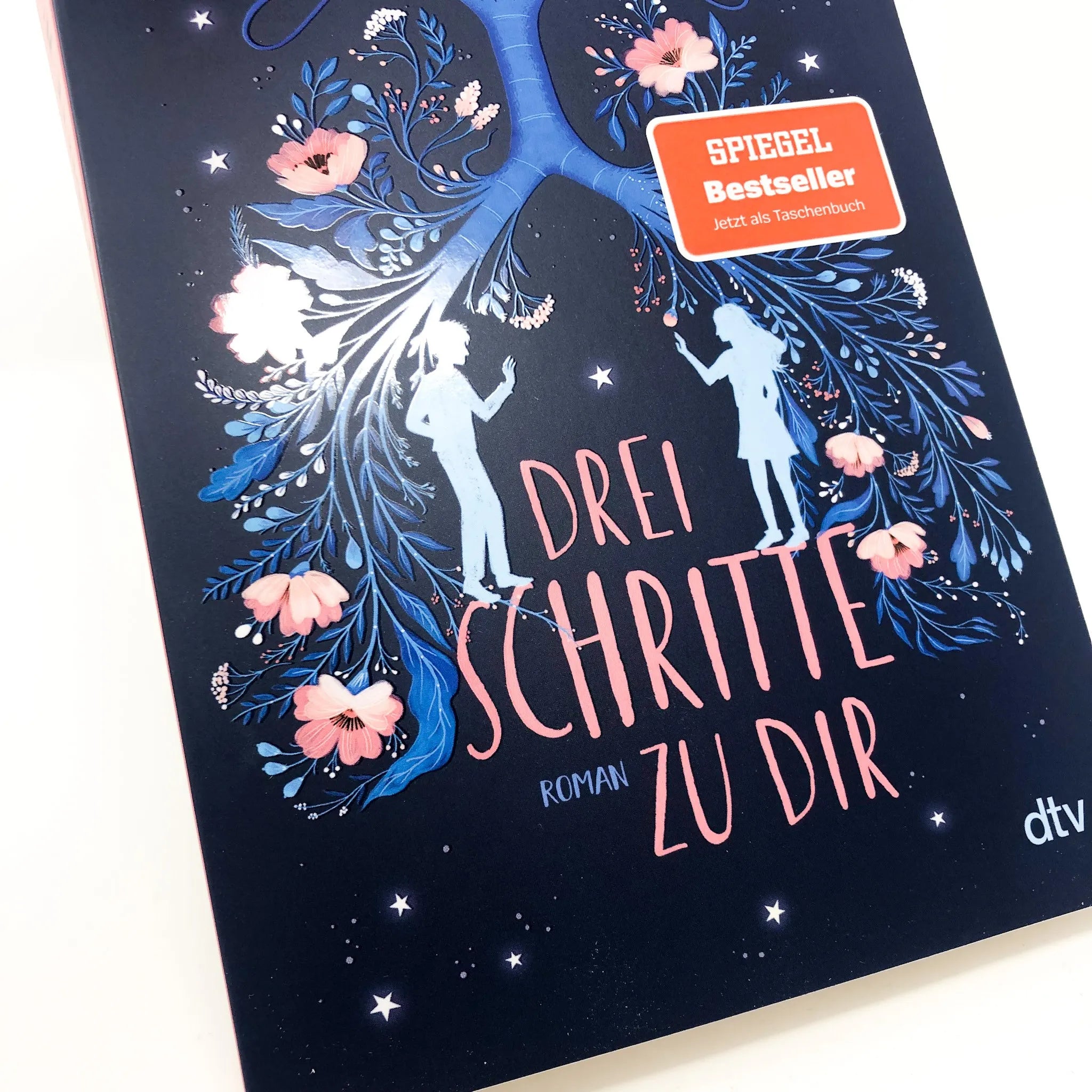 Produktansicht: Drei Schritte zu dir (Taschenbuch)