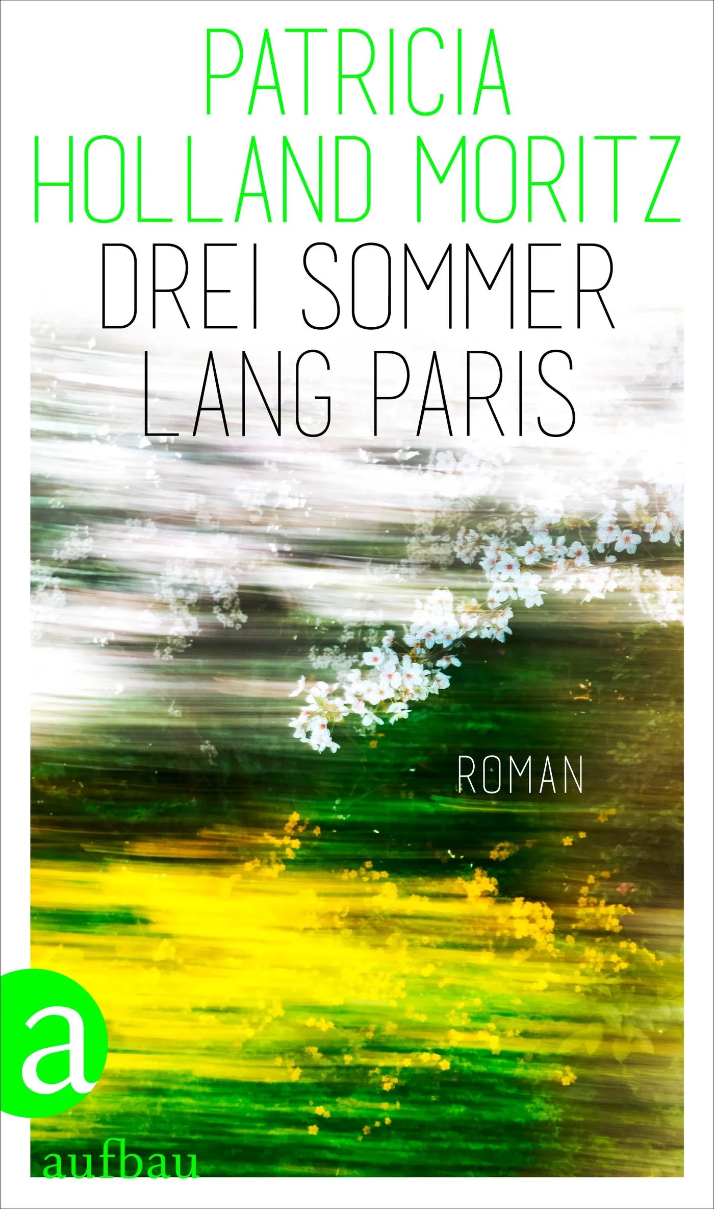 Buchcover von 'Drei Sommer lang Paris' - Gebundene Ausgabe von Patricia Holland Moritz
