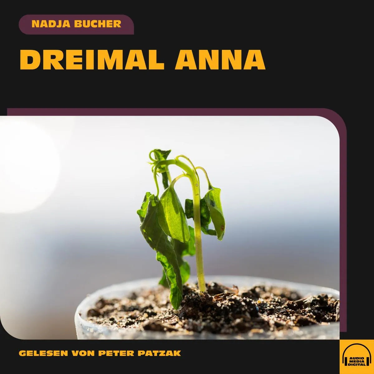 Cover: Dreimal Anna (Hörbuch Download) von Nadja Bucher