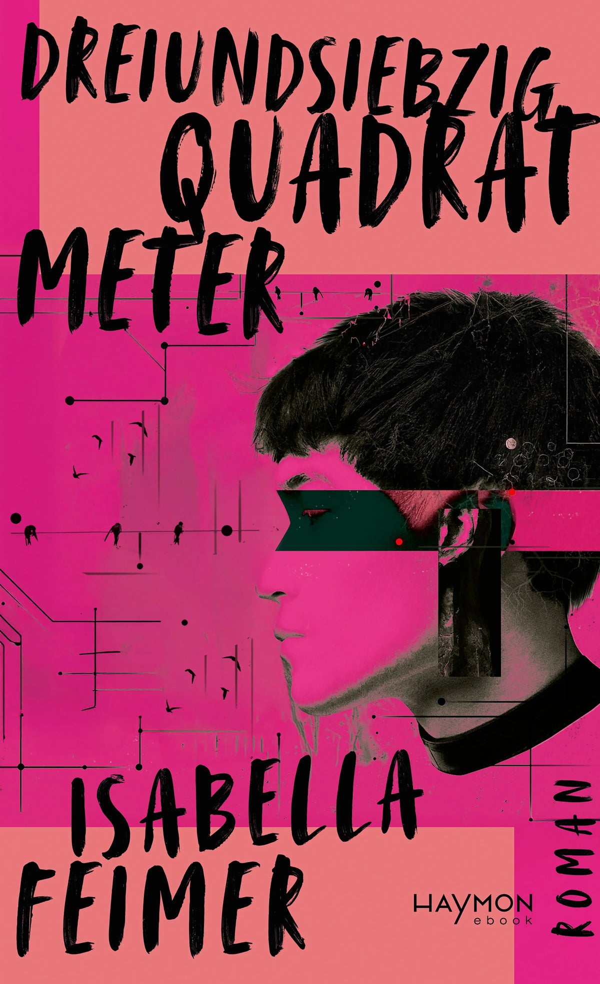 Cover: Dreiundsiebzig Quadratmeter (E-Book) von Isabella Feimer