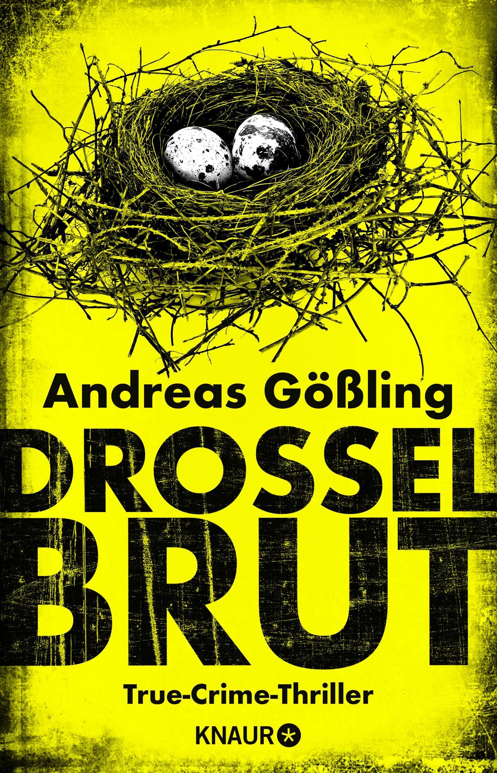 Buchcover von 'Drosselbrut' - Paperback von Andreas Gößling