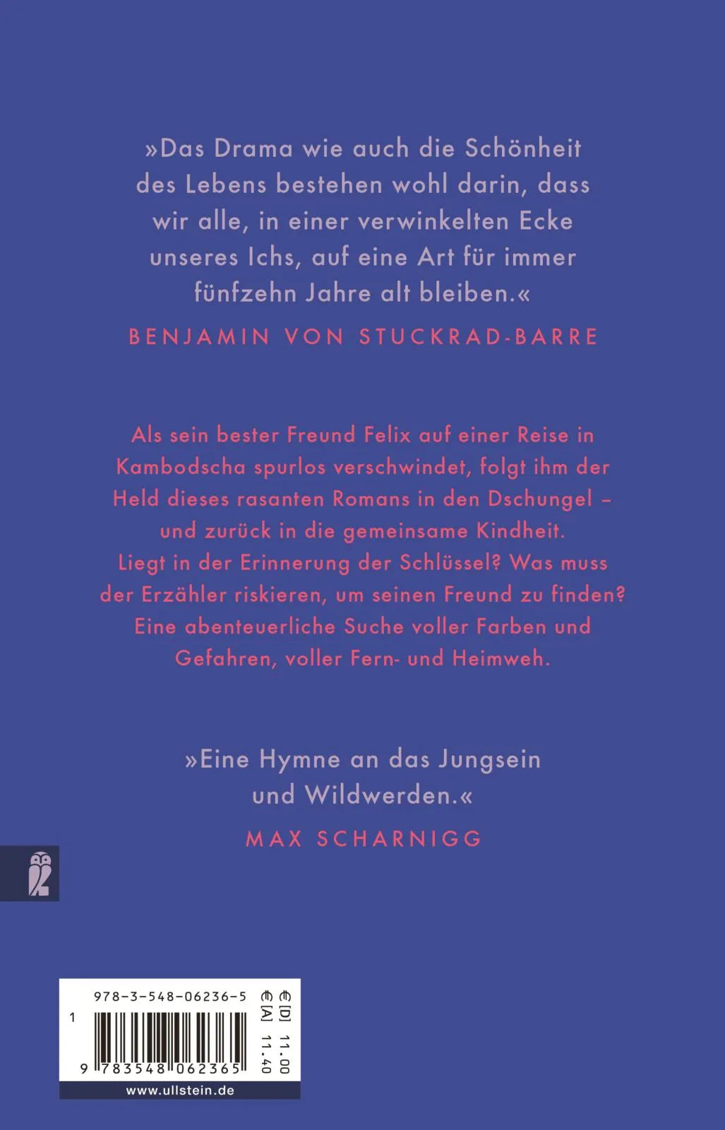 Buchrückseite von 'Dschungel' mit Klappentext - Taschenbuch