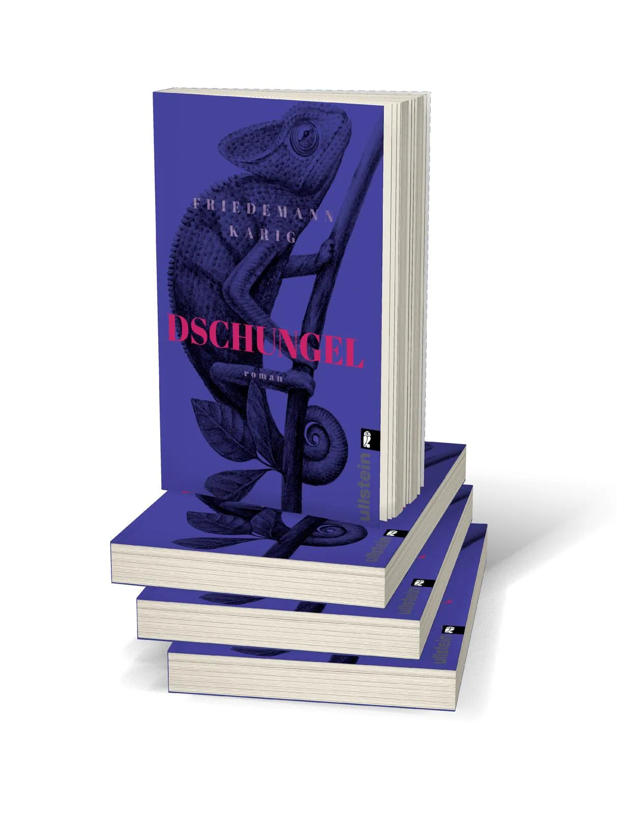Abbildung von 'Dschungel'