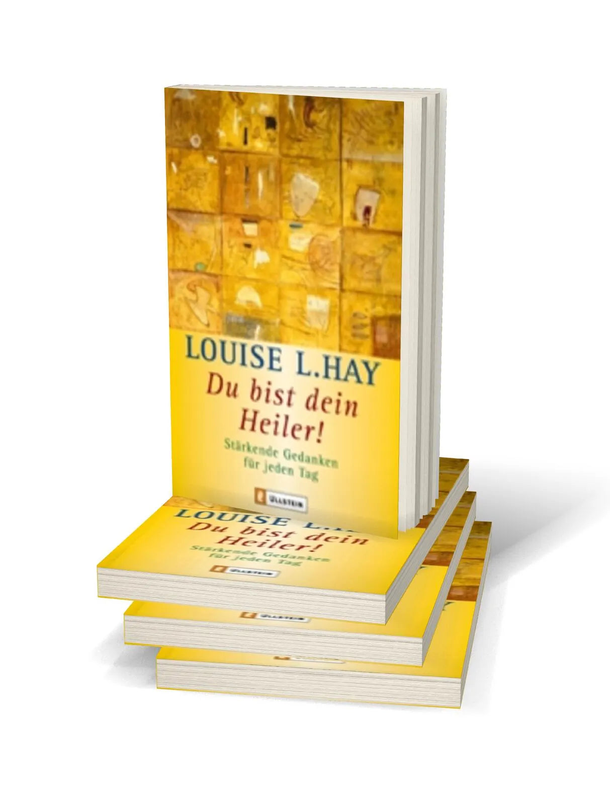 Produktansicht: Du bist dein Heiler! (Taschenbuch)