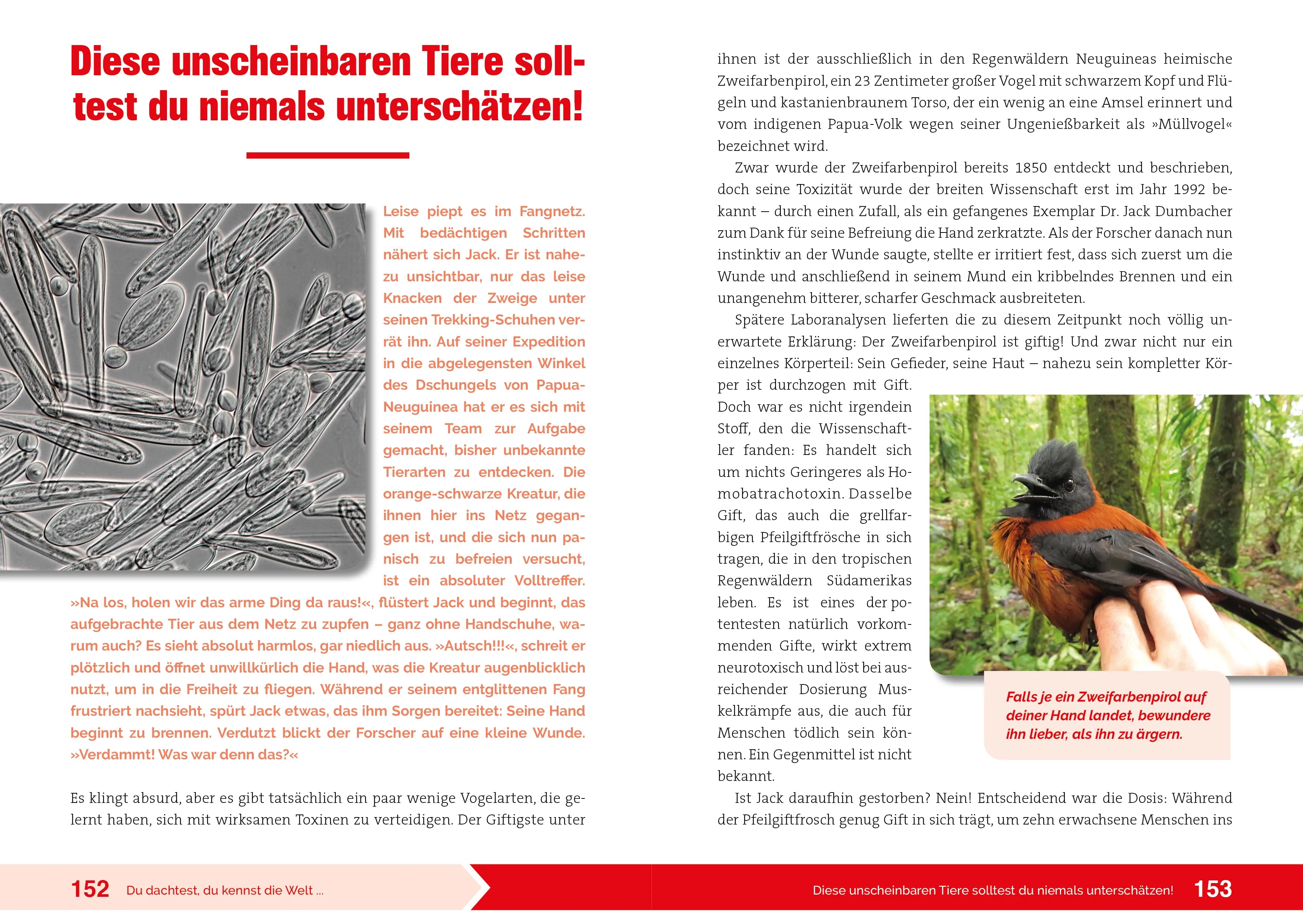 Innenansicht von 'Du dachtest, du kennst die Welt...' - Taschenbuch