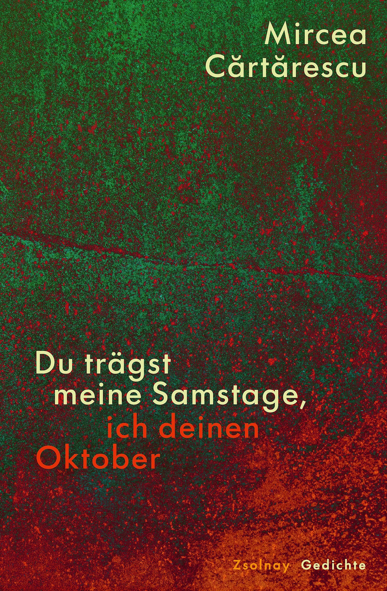 Cover: Du trägst meine Samstage, ich deinen Oktober (Hardcover) von Mircea Cartarescu