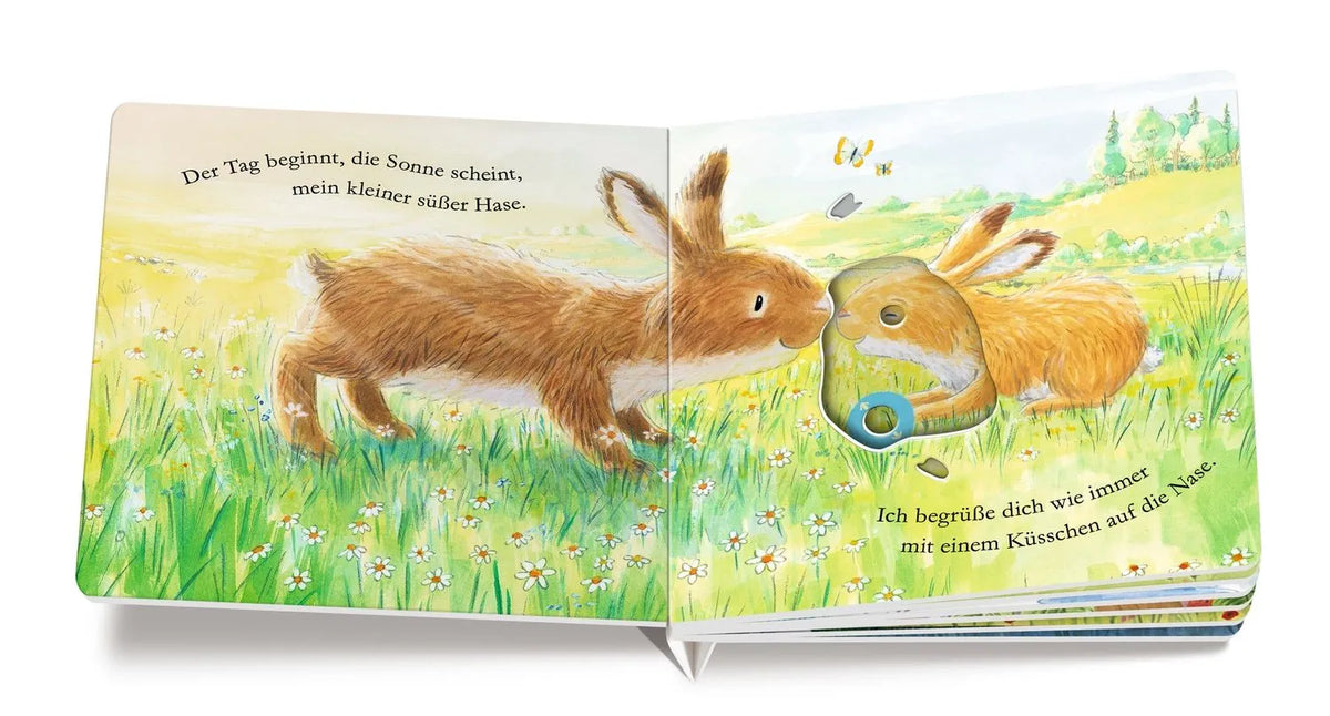Detailansicht: Du und Ich unter den Sternen (Hardcover)