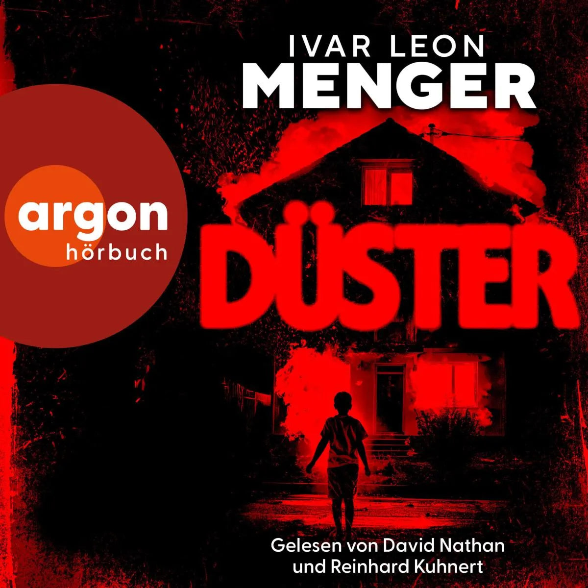 Cover: Düster (Hörbuch Download) von Ivar Leon Menger