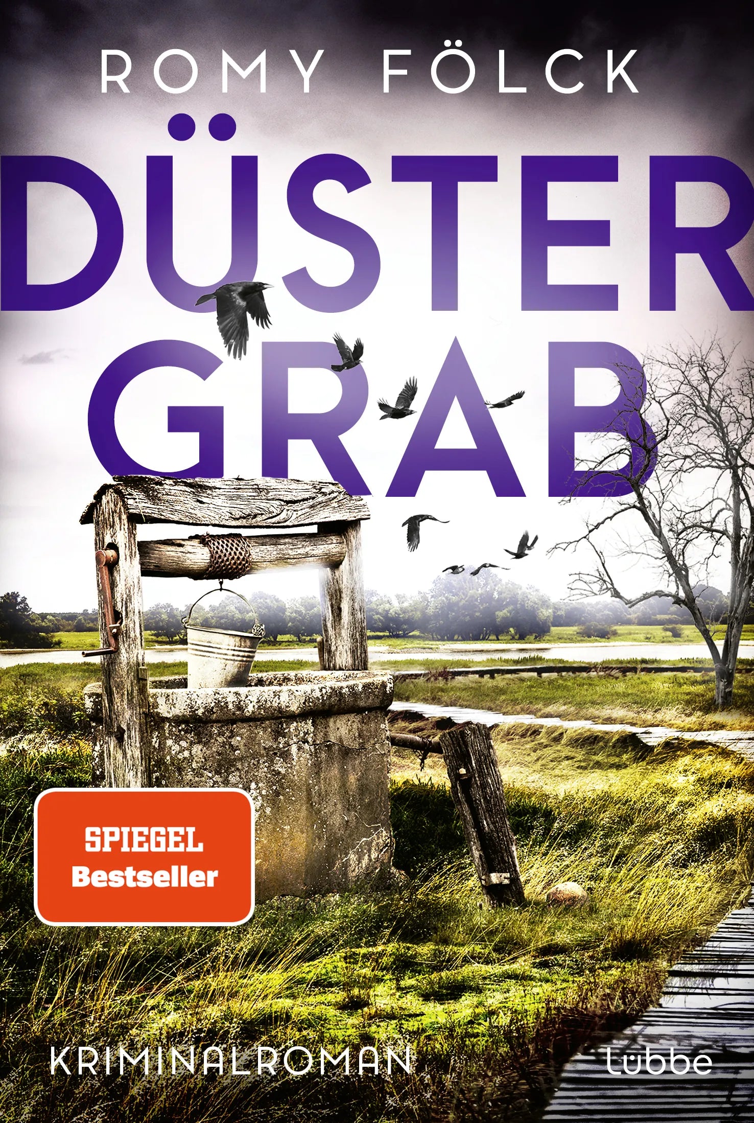 Buchcover von 'Düstergrab' - Taschenbuch von Romy Fölck