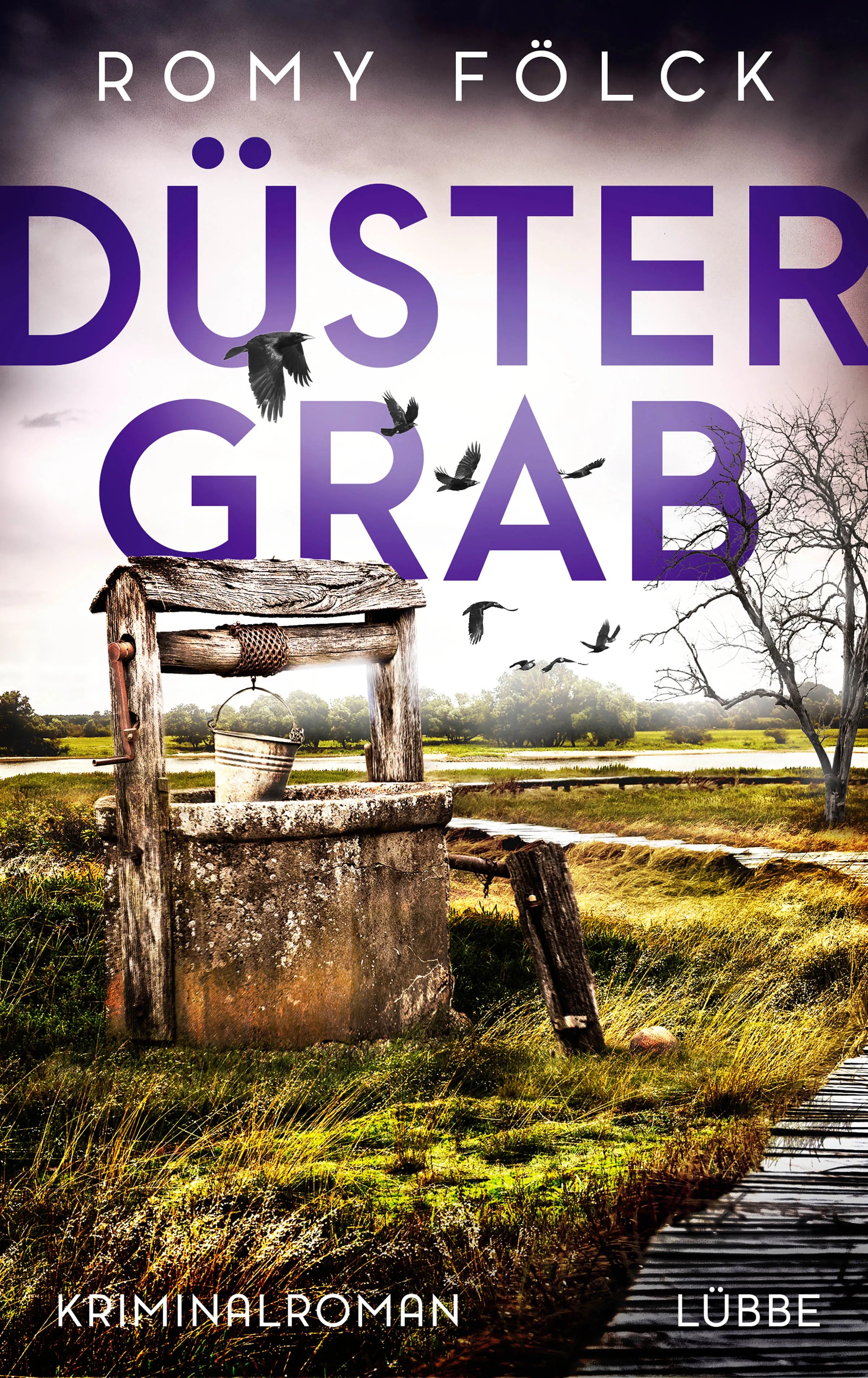 Cover: Düstergrab (E-Book) von Romy Fölck