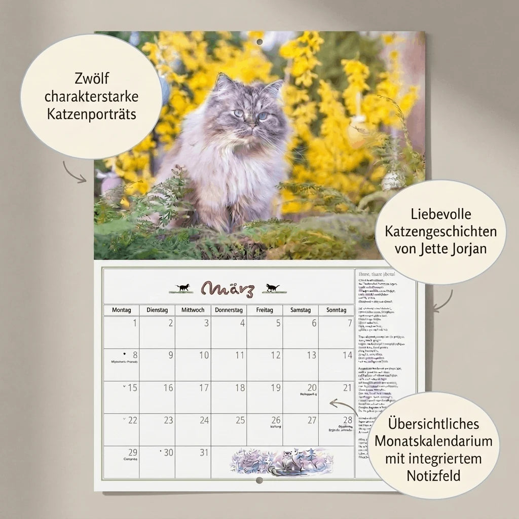DuMonts Katzen Kalender 2027 – Ansicht