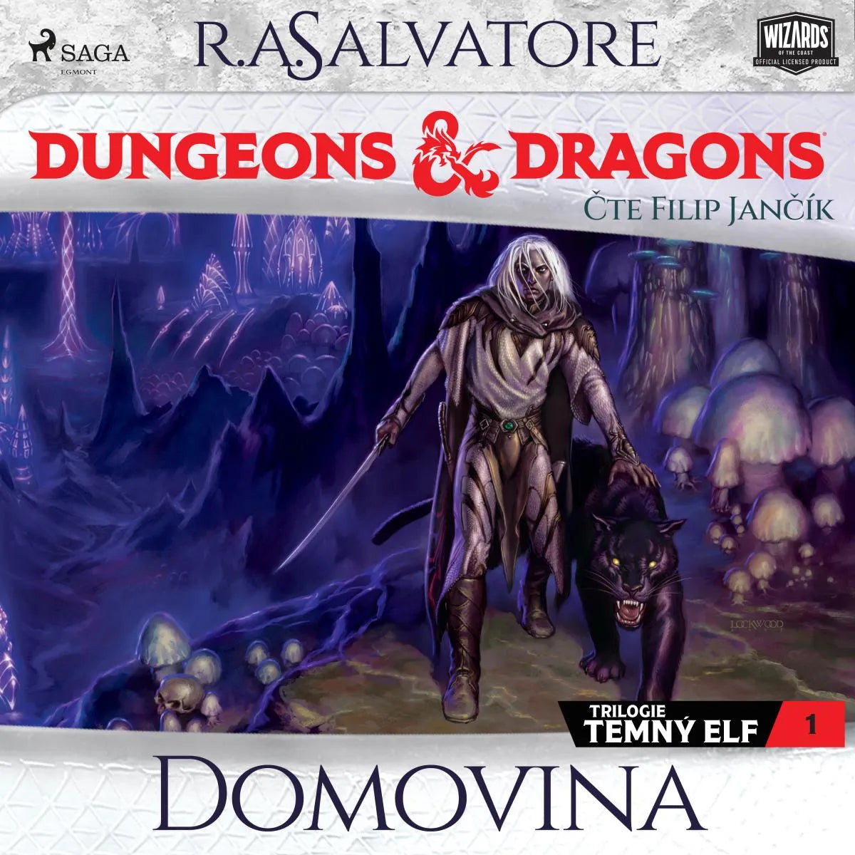 Cover: Dungeons & Dragons. Legenda o Drizztovi. Temný elf 1: Domovina (Hörbuch Download) von R.A. Salvatore