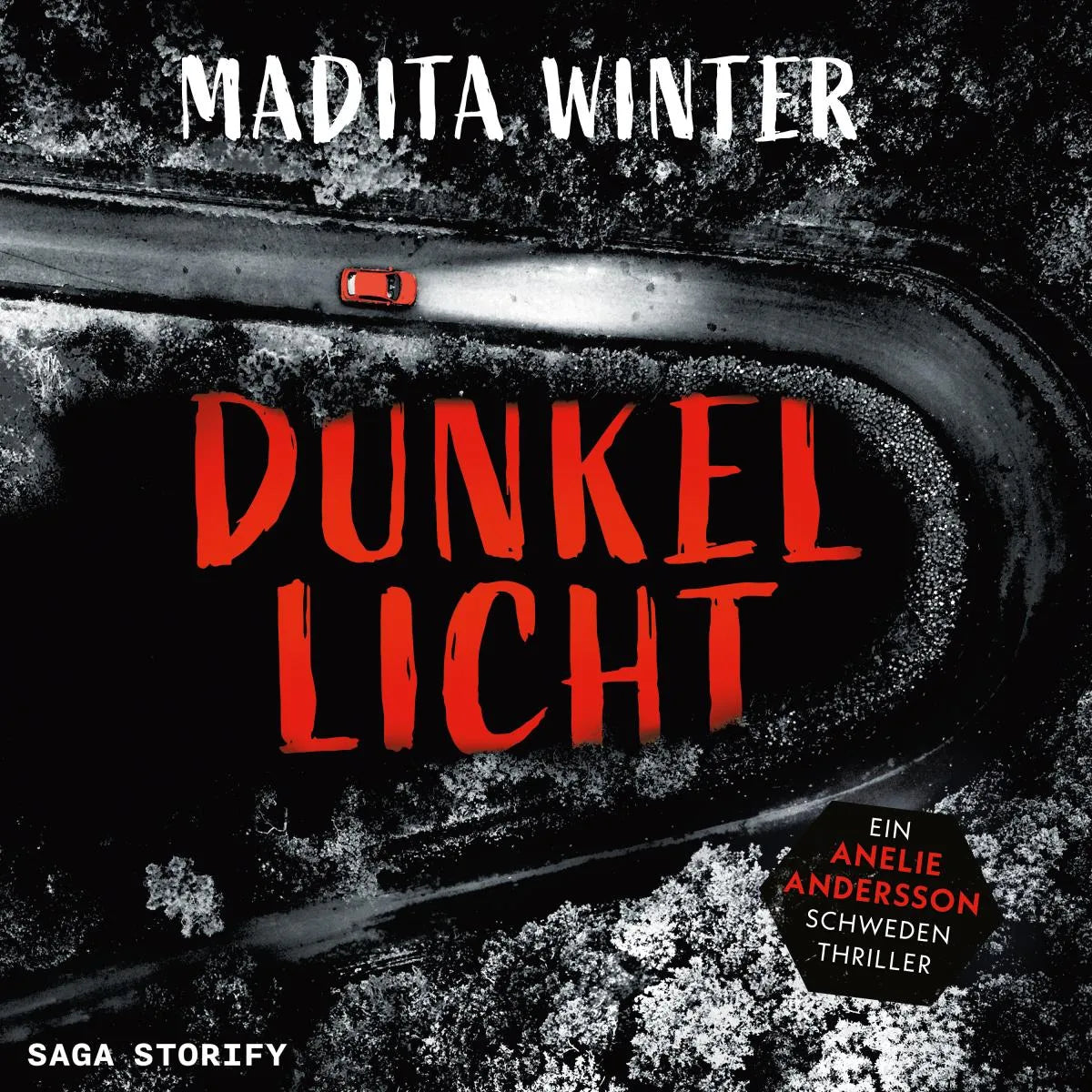 Cover: Dunkellicht (Hörbuch Download) von Madita Winter