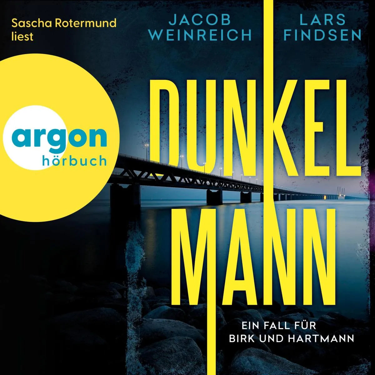 Cover: Dunkelmann (Hörbuch Download) von Lars Findsen