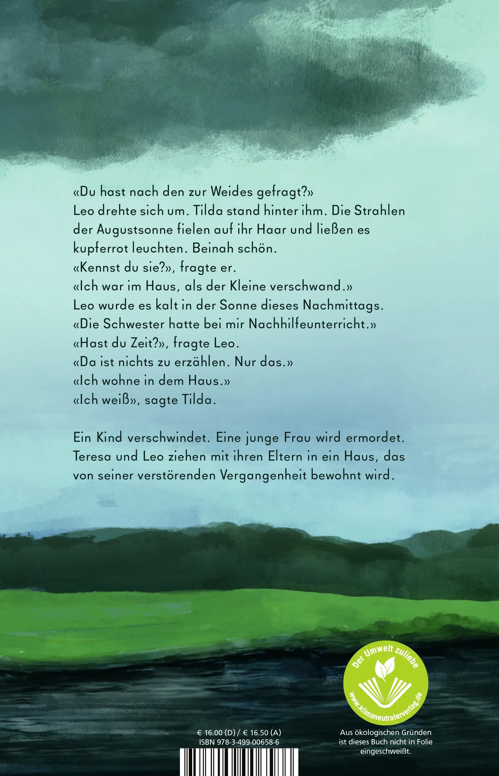 Buchrückseite von 'Dunkle Idylle' mit Klappentext - Paperback