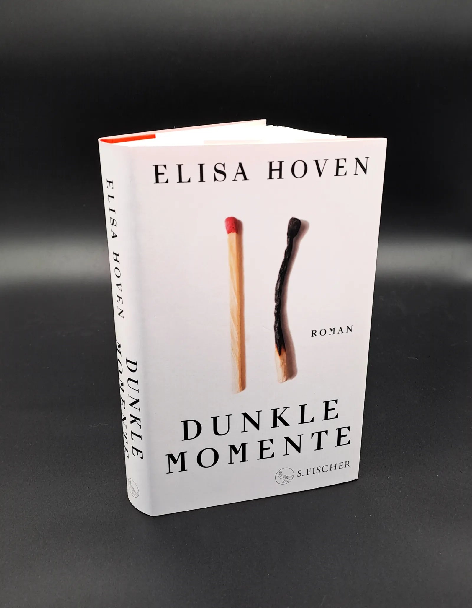Detailansicht: Dunkle Momente (Hardcover)