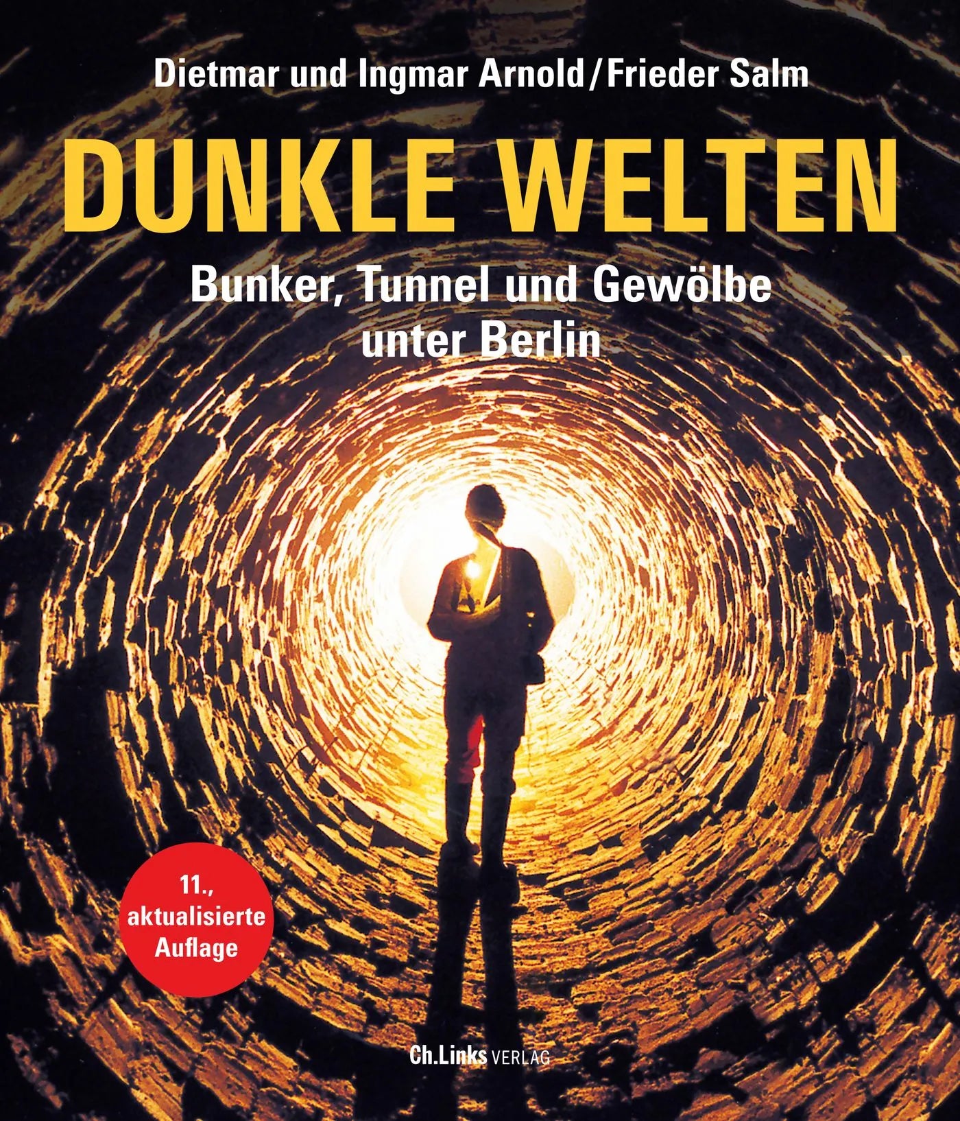 Buchcover von 'Dunkle Welten' - Gebundene Ausgabe von Dietmar Arnold