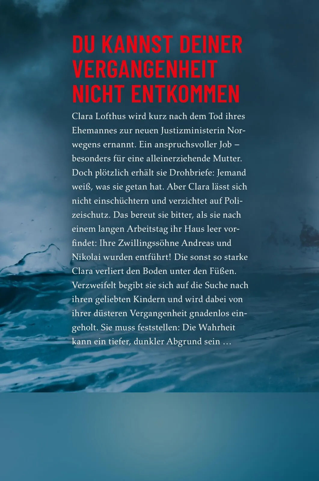 Rückseite: Dunkler Abgrund (Paperback)