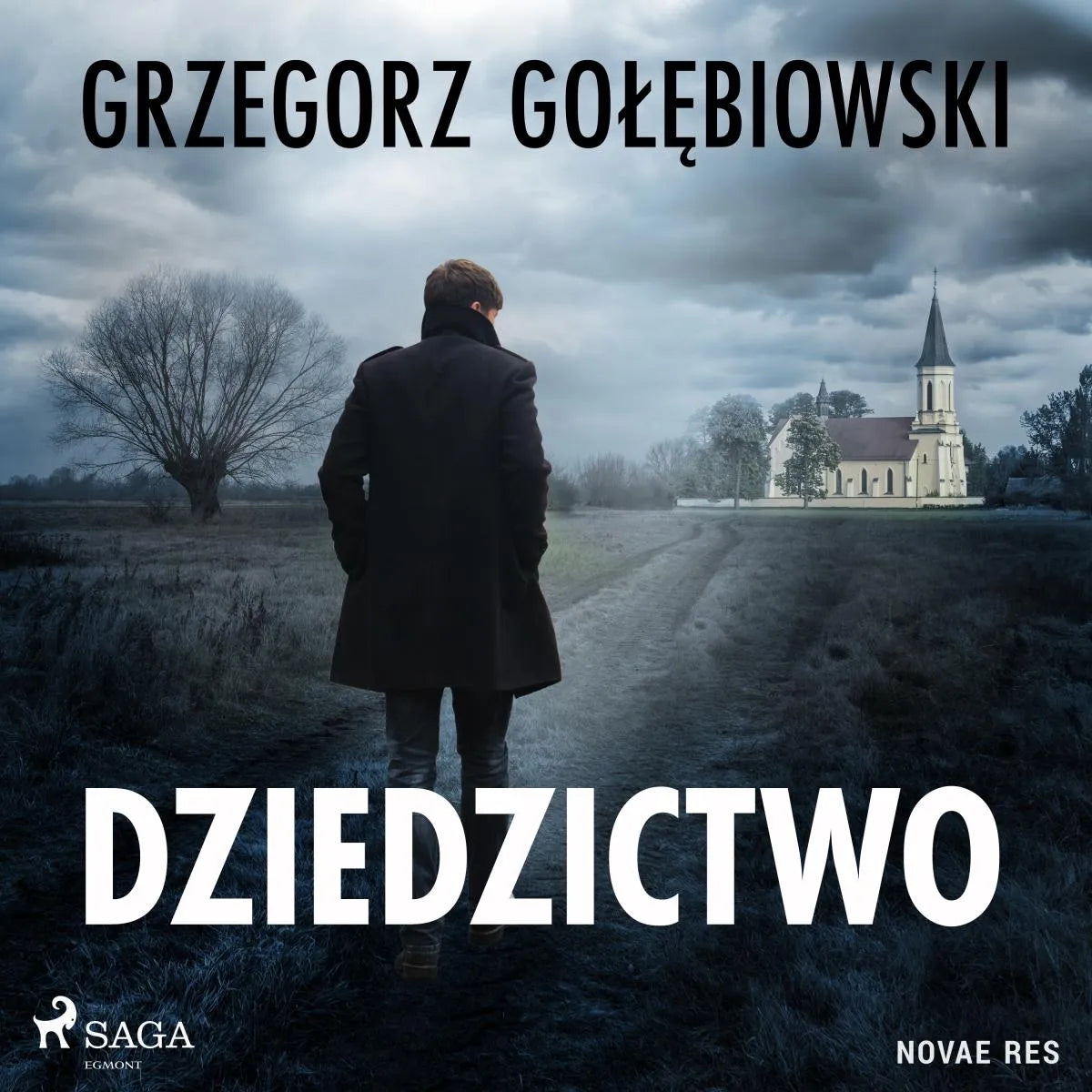 Cover: Dziedzictwo (Hörbuch Download) von Grzegorz Golebiowski