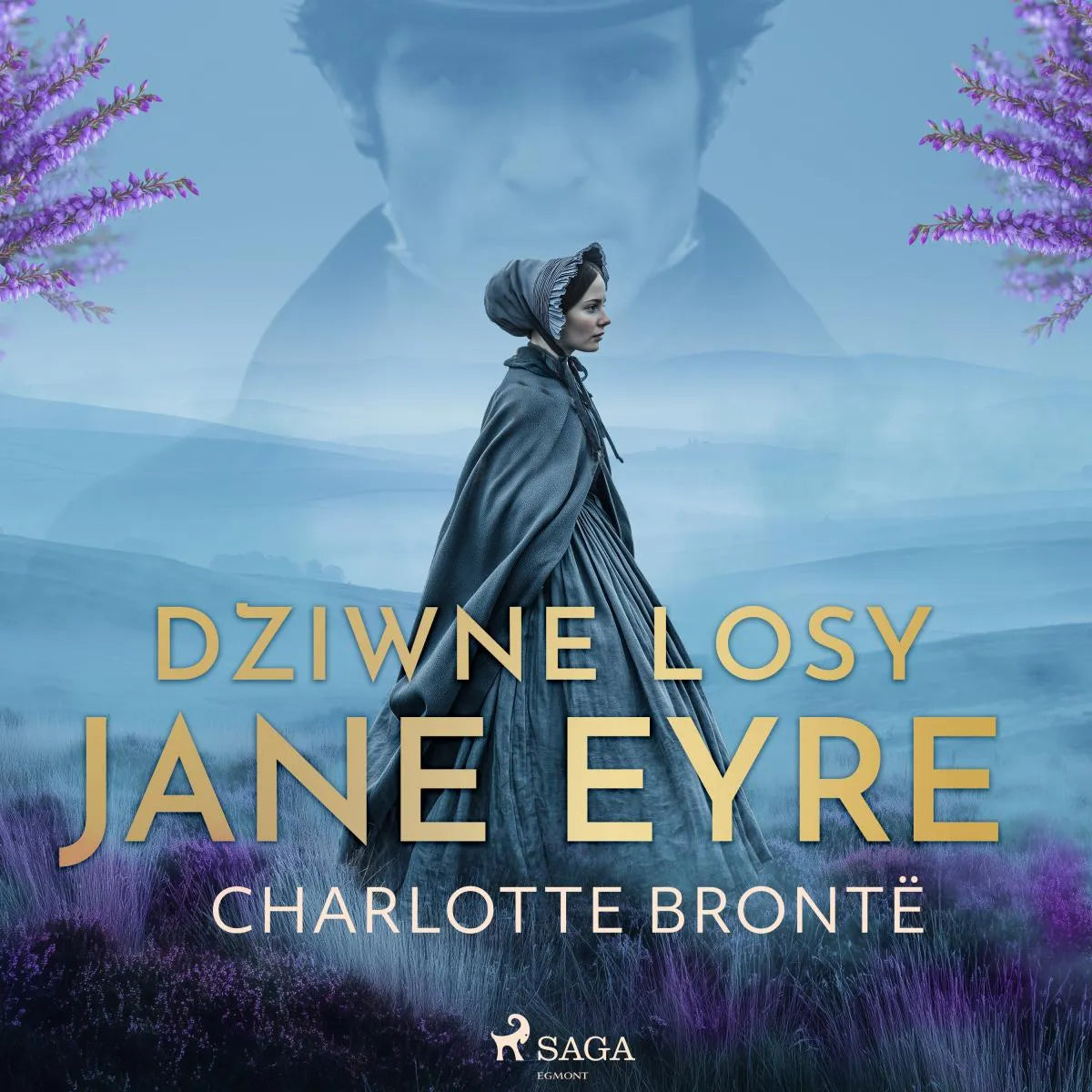Cover: Dziwne losy Jane Eyre (Hörbuch Download) von Charlotte Brontë