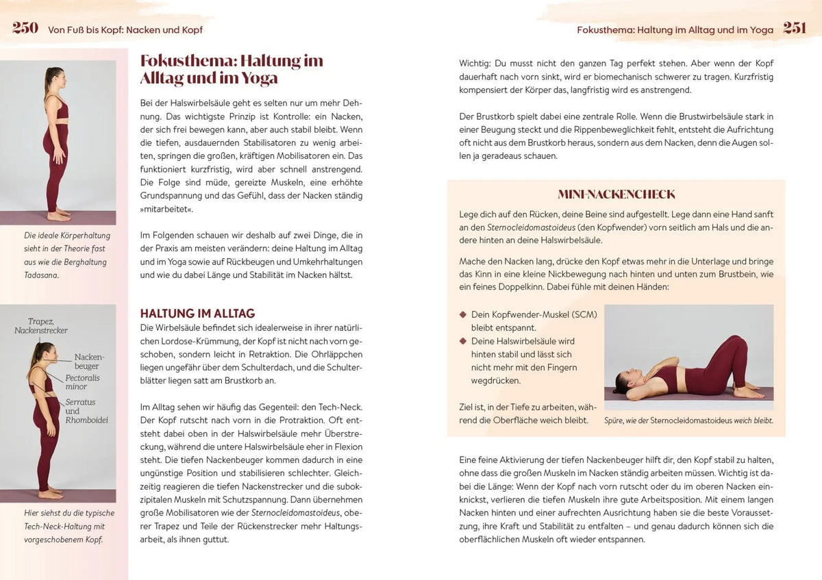 Detailansicht: Easy Yoga-Anatomie (Taschenbuch)