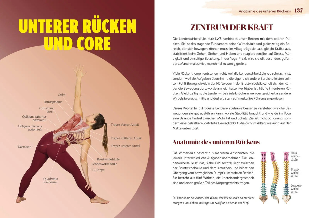 Detailansicht: Easy Yoga-Anatomie (Taschenbuch)