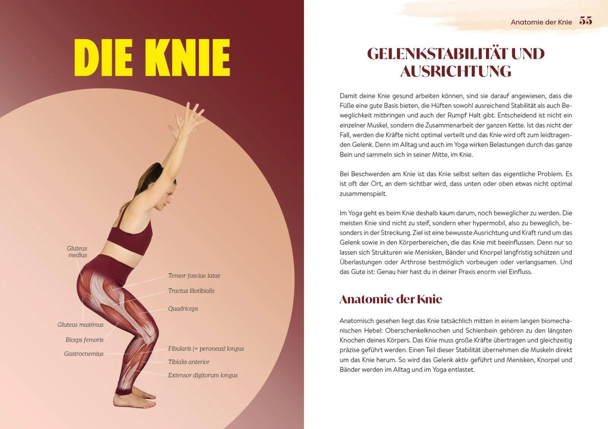 Detailansicht: Easy Yoga-Anatomie (Taschenbuch)