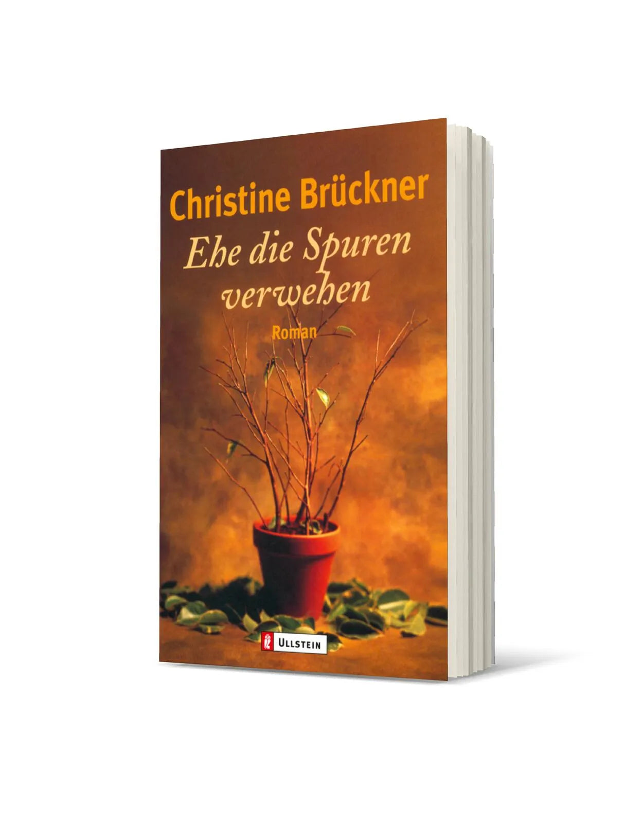 Christine Brückner - Ehe die Spuren verwehen