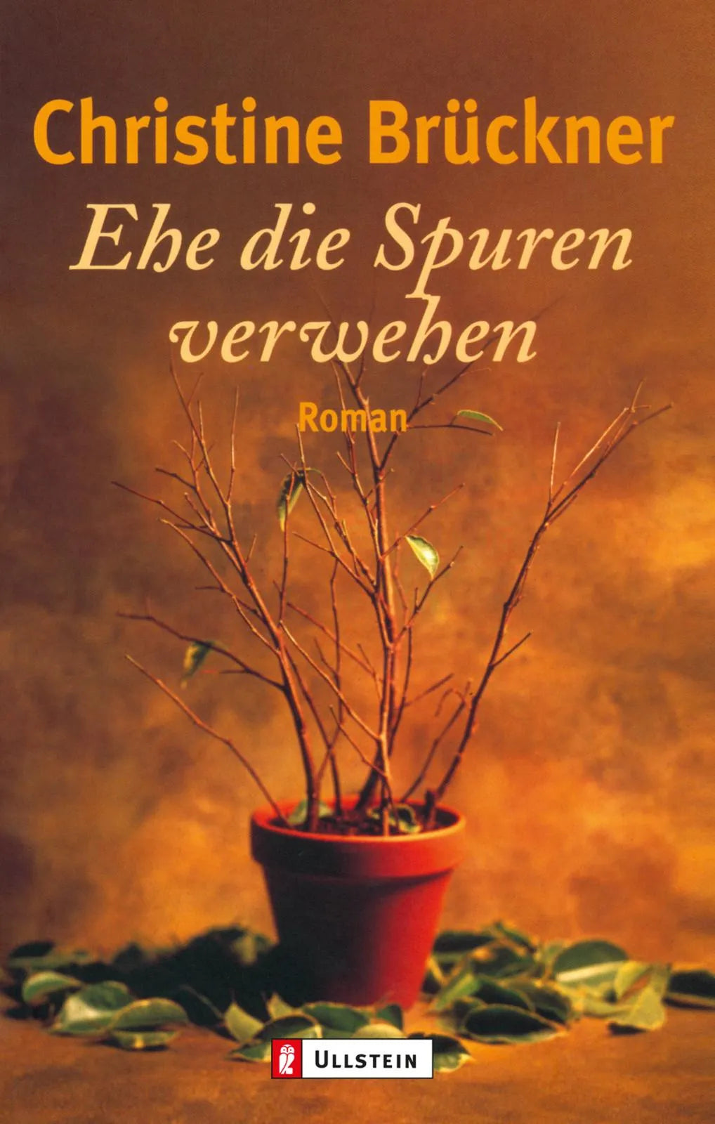 Buchcover von 'Ehe die Spuren verwehen' - Taschenbuch von Christine Brückner