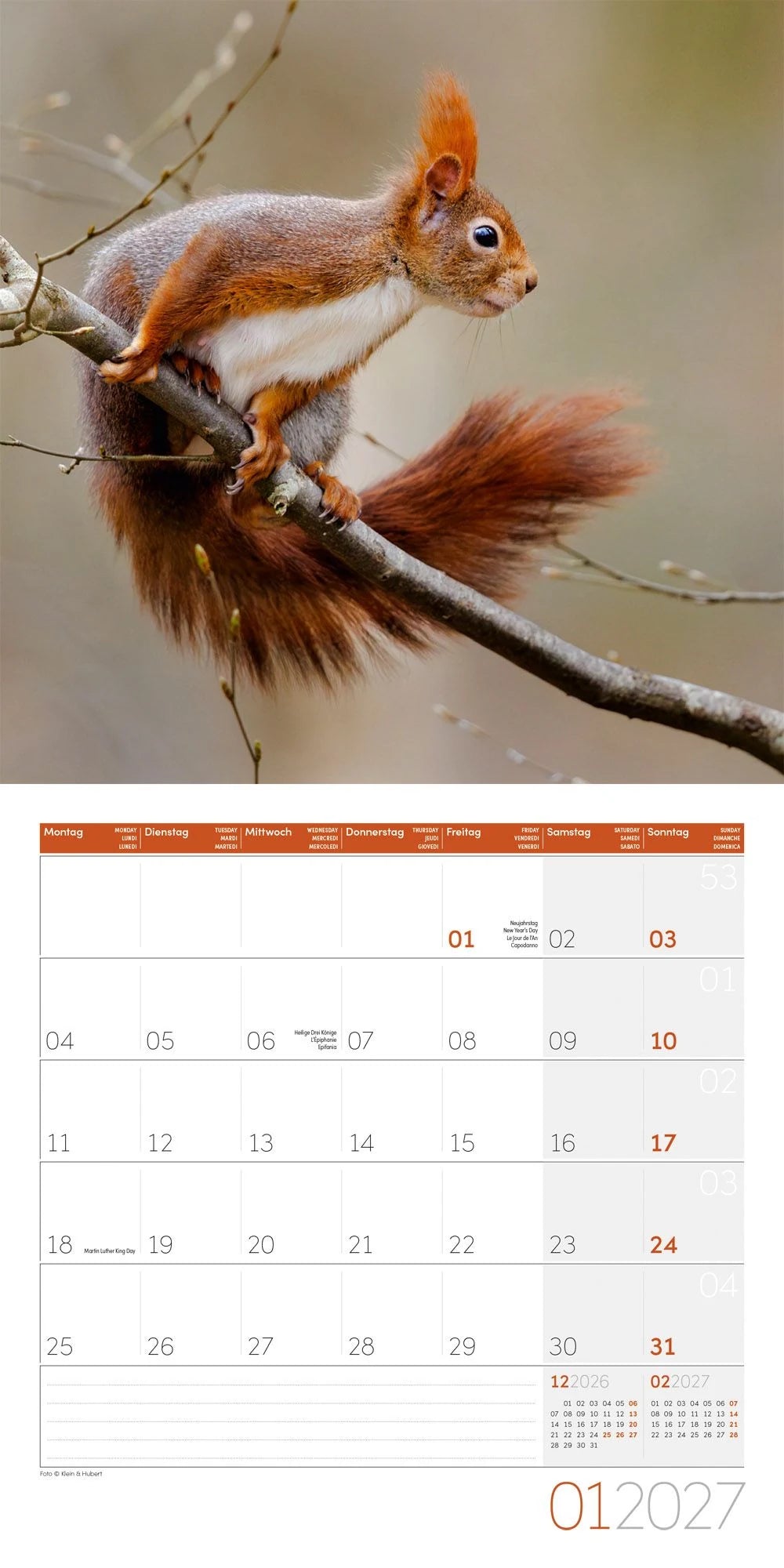 Eichhörnchen Kalender 2027 - 30x30 - Art12 – Ansicht