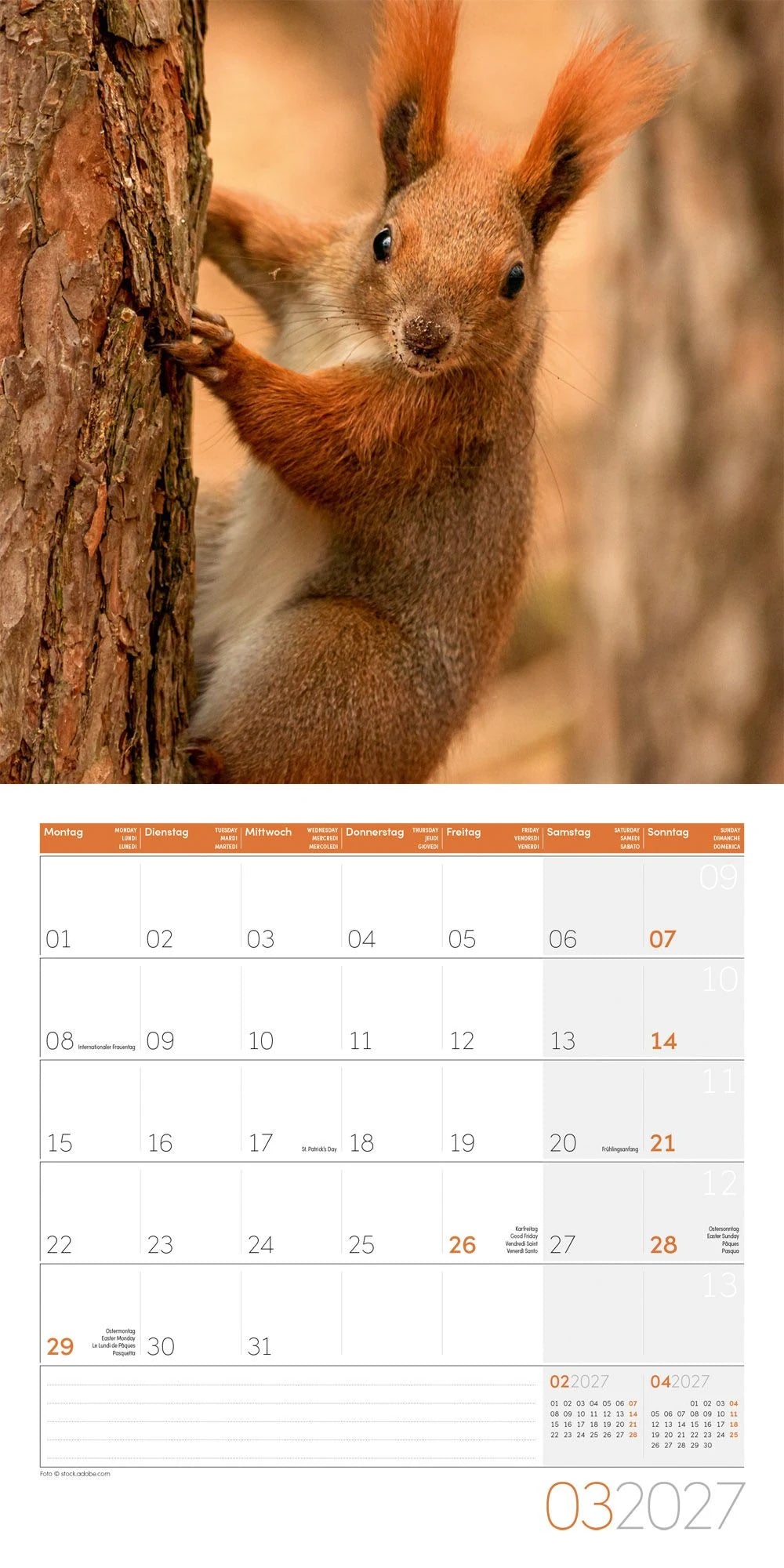 Eichhörnchen Kalender 2027 - 30x30 - Art12 – Ansicht