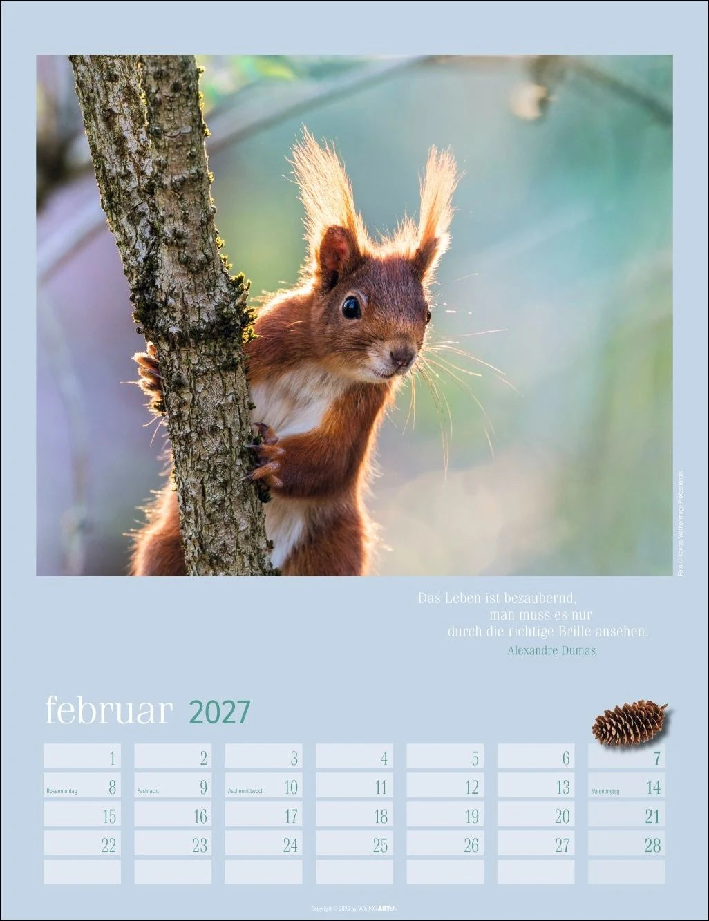 Eichhörnchen Kalender 2027 – Ansicht