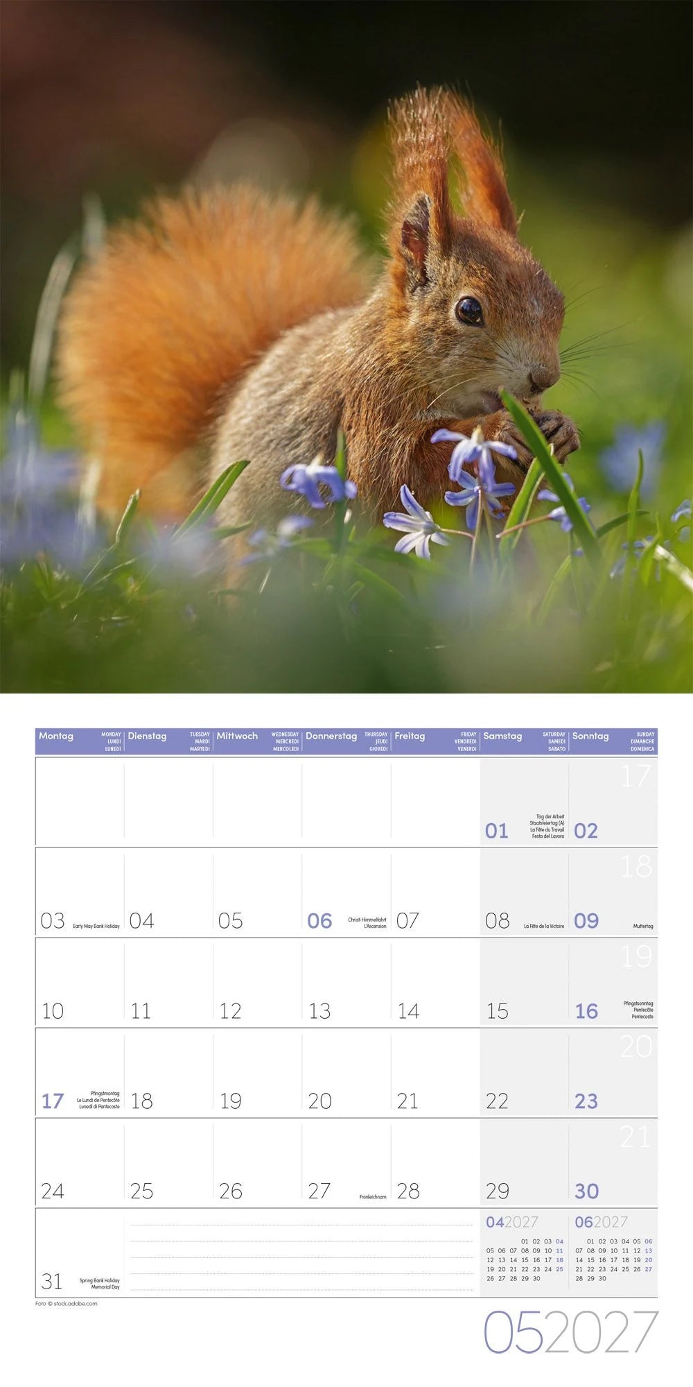 Eichhörnchen Kalender 2027 - 30x30 - Art12 – Ansicht
