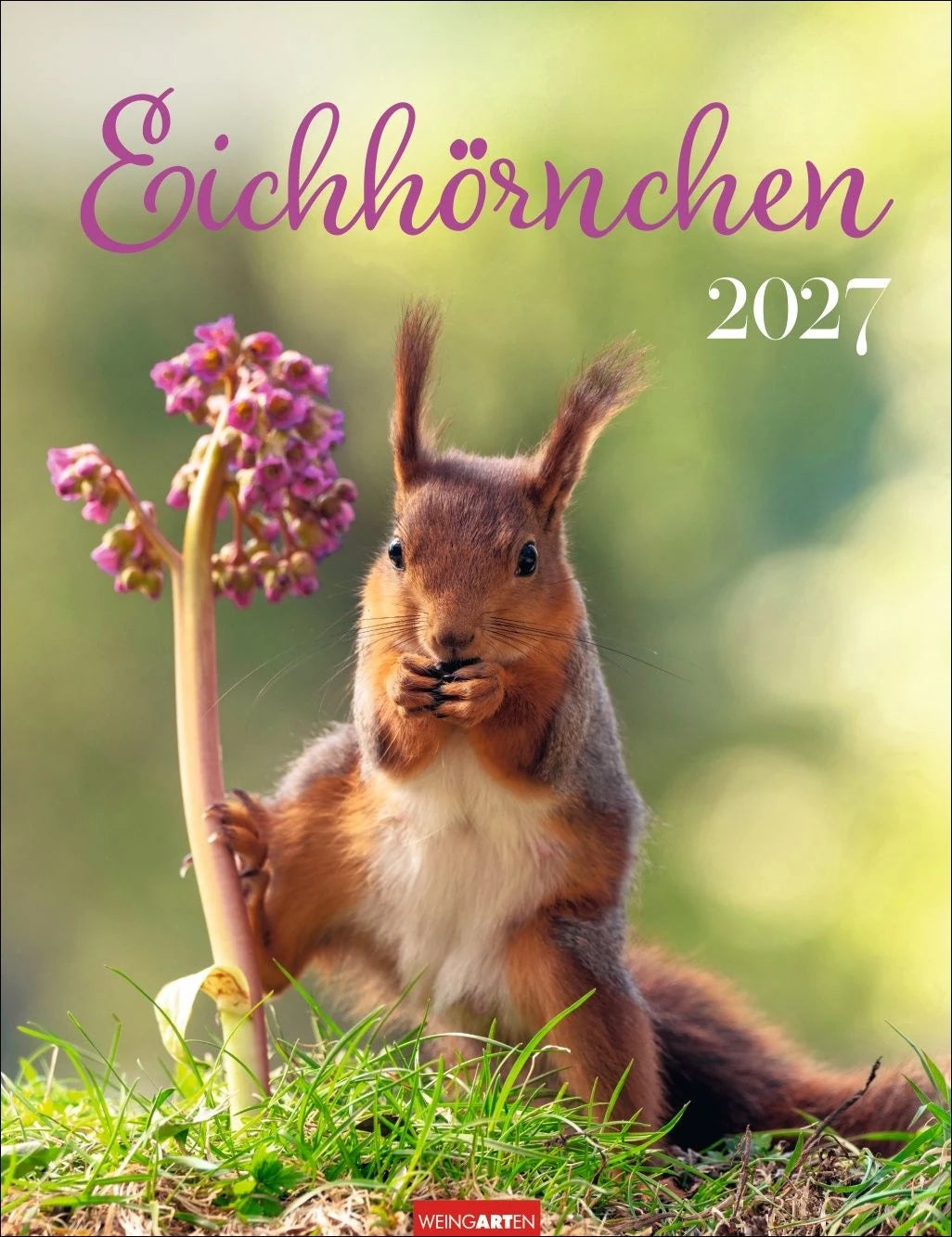 Wandkalender: Eichhörnchen Kalender 2027