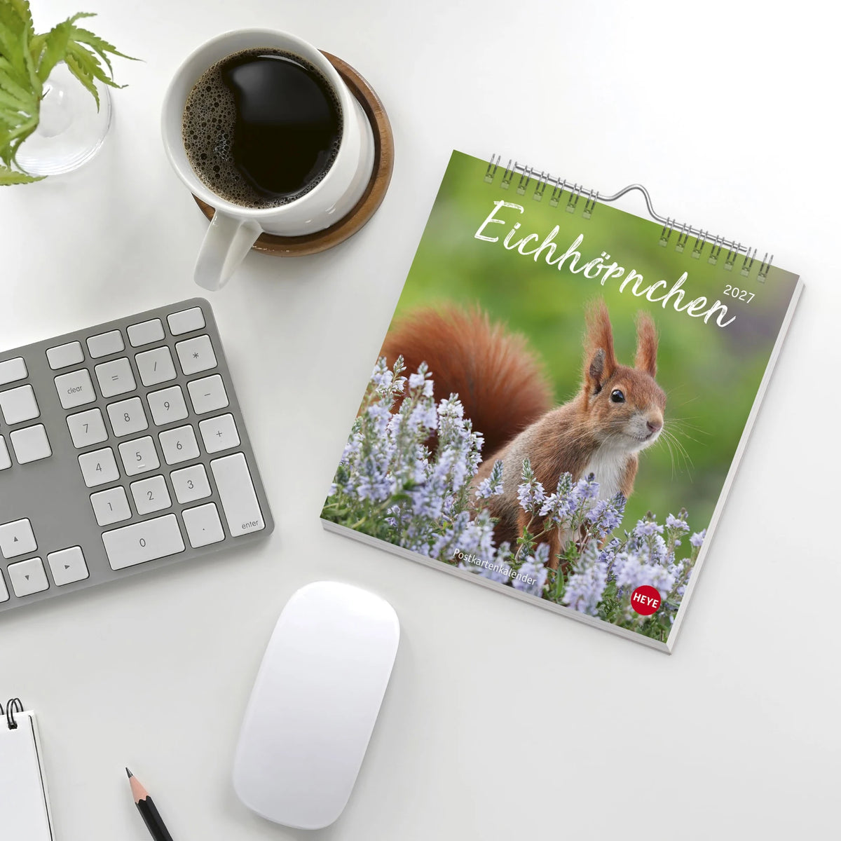 Eichhörnchen Postkartenkalender 2027 – Ansicht
