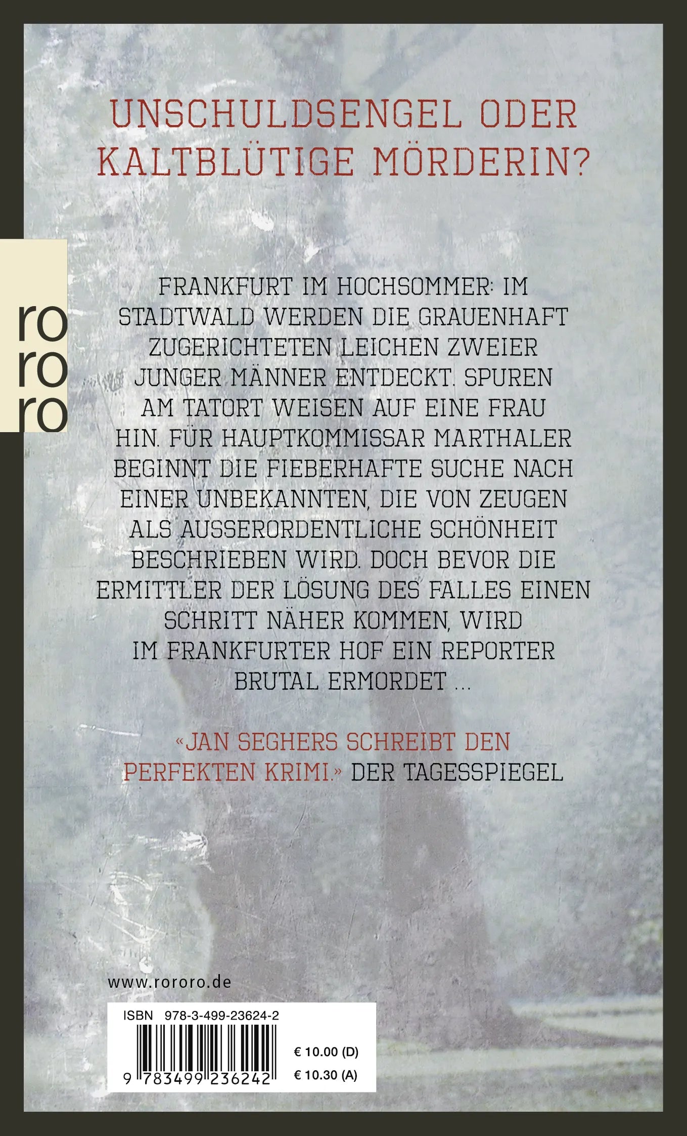 Buchrückseite von 'Ein allzu schönes Mädchen' mit Klappentext - Taschenbuch