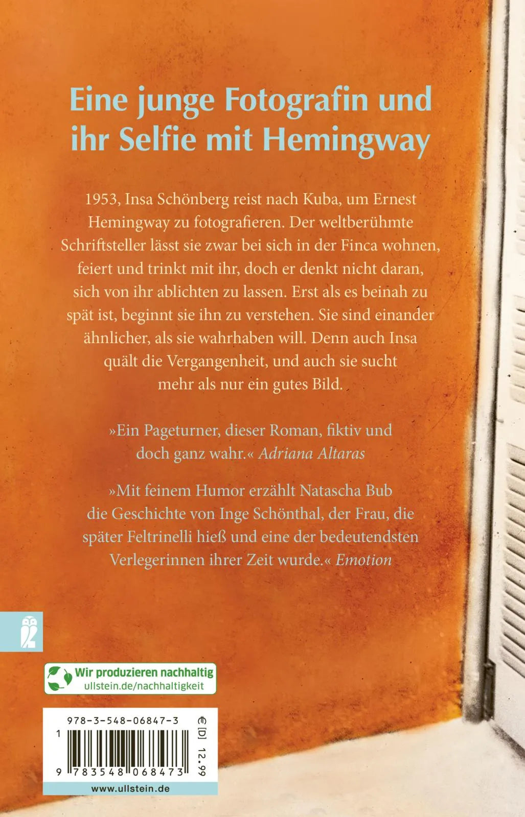 Buchrückseite von 'Ein Bild von einer Frau' mit Klappentext - Taschenbuch