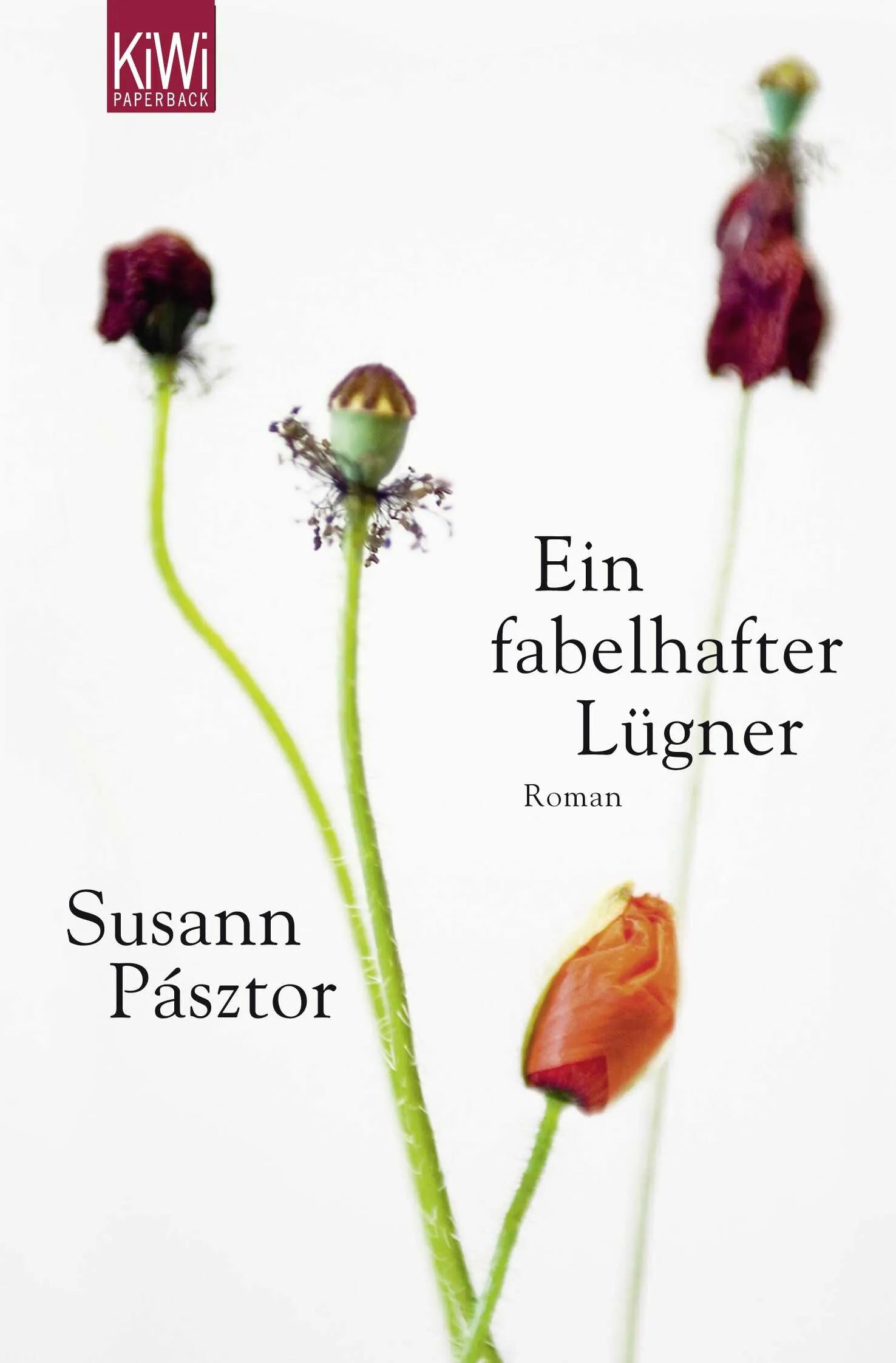 Buchcover von 'Ein fabelhafter Lügner' - Taschenbuch von Susann Pásztor