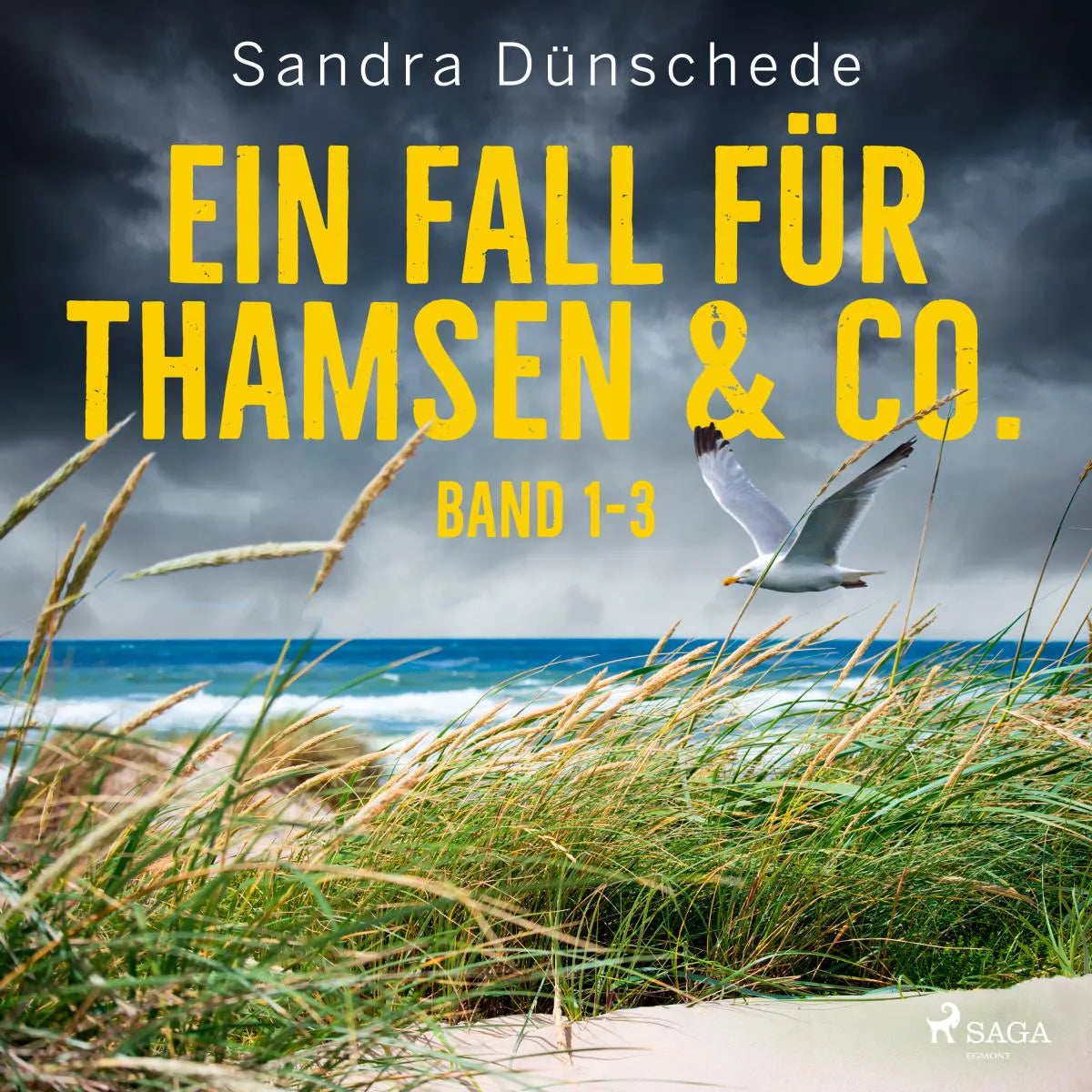 Cover: Ein Fall für Thamsen & Co. (Hörbuch Download) von Sandra Dünschede