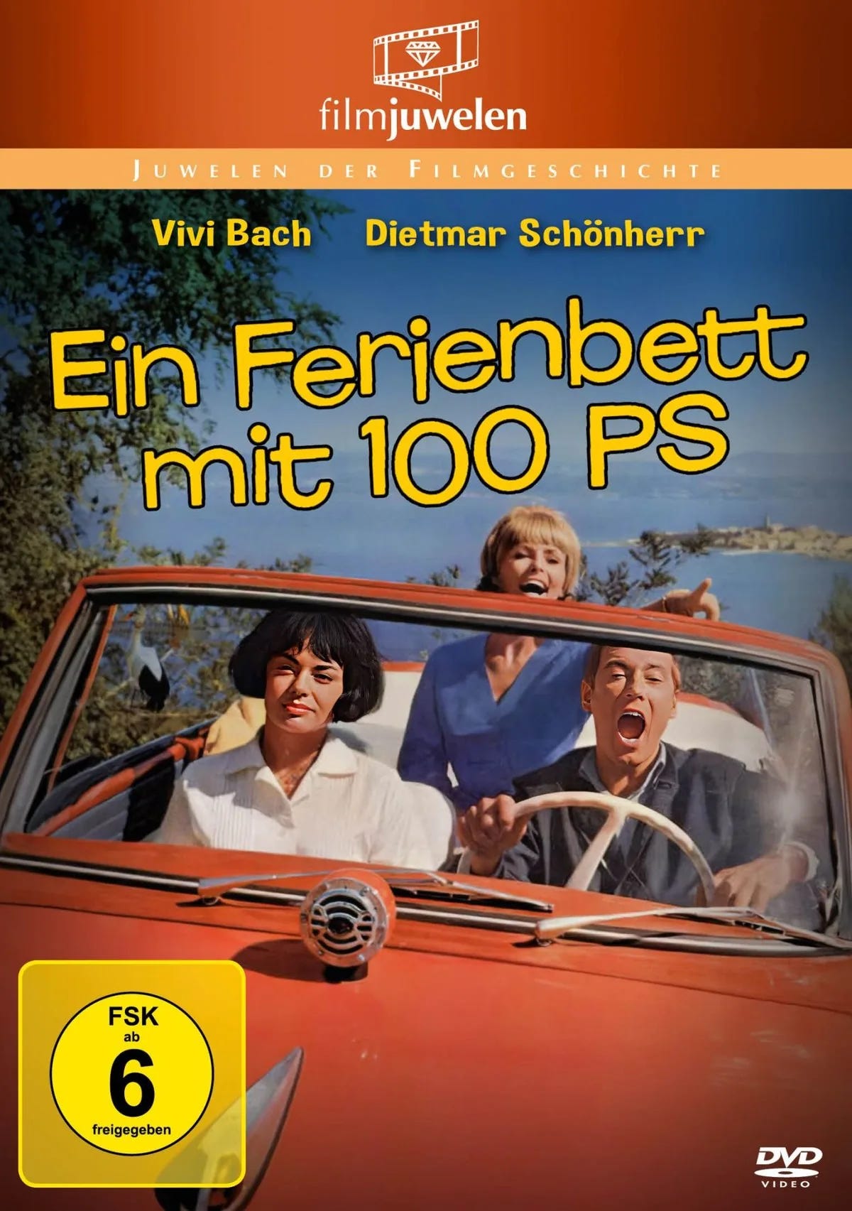 Ein Ferienbett mit 100 PS - DVD