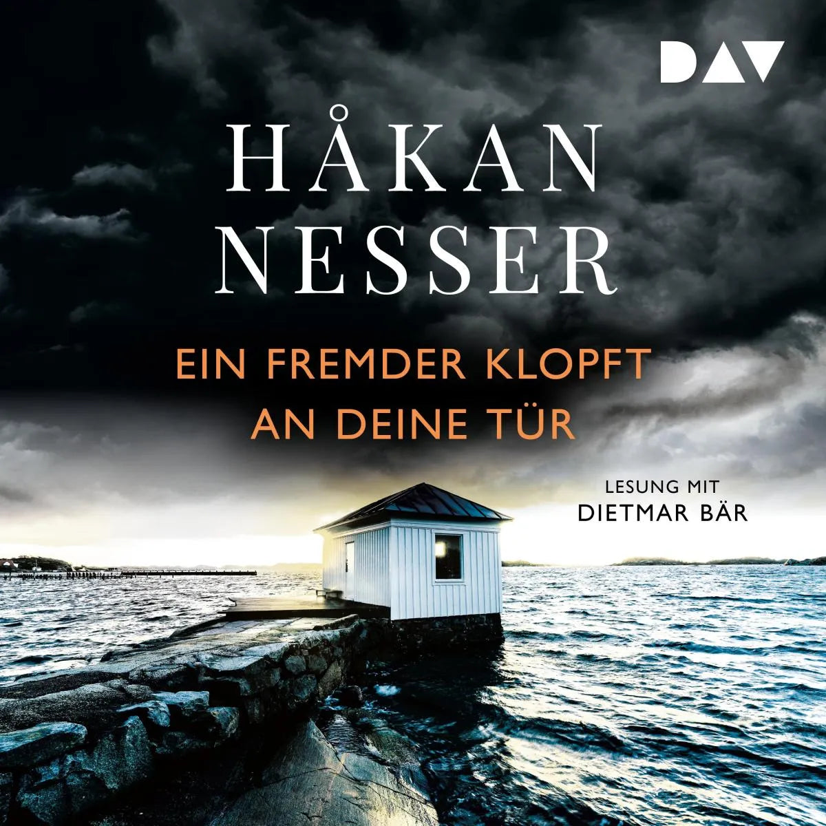 Cover: Ein Fremder klopft an deine Tür. Drei Fälle aus Maardam (Hörbuch Download) von Håkan Nesser